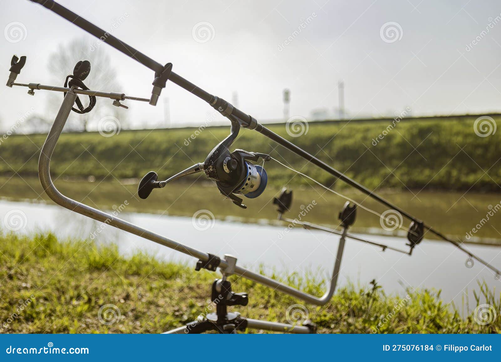 Carp Fishing Equipment on the Bank of a River Stock Photo - Image of  outdoor, reel: 275076184