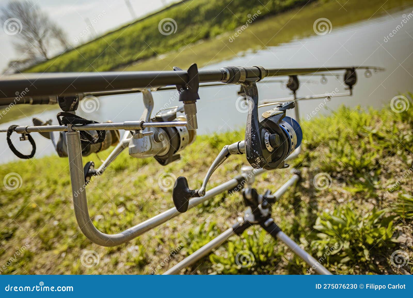 Carp Fishing Equipment on the Bank of a River Stock Photo - Image