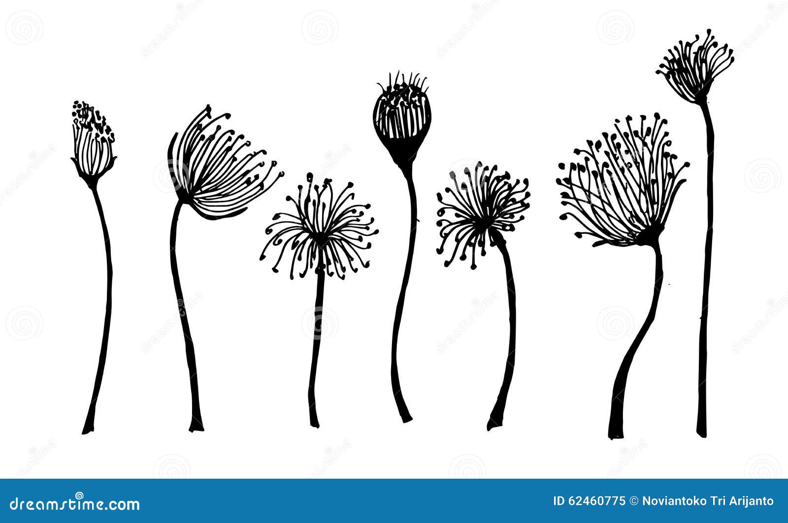 Download Set Of Flower Doodles Flower Stock Vector - Illustration ...