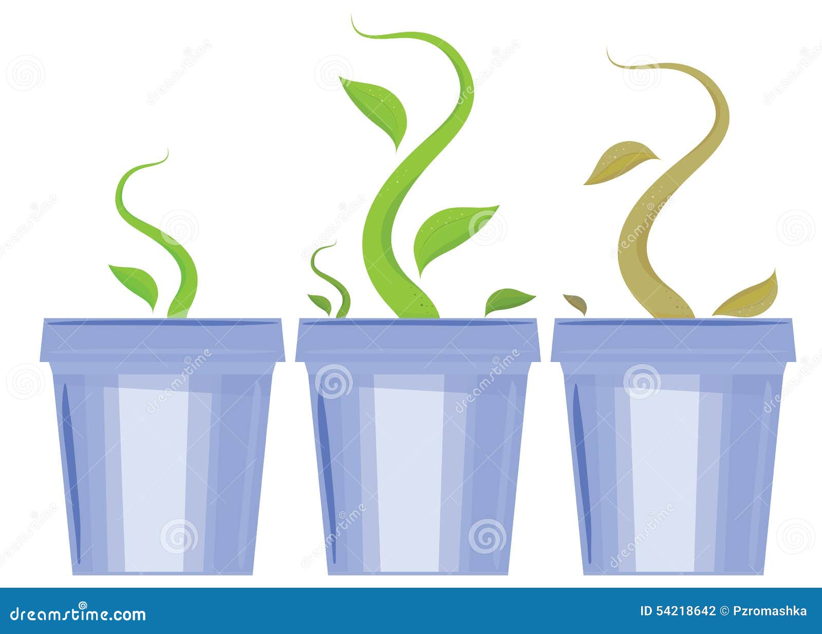 Set of Flower Pots. Shoots and Death of Plants Stock Vector