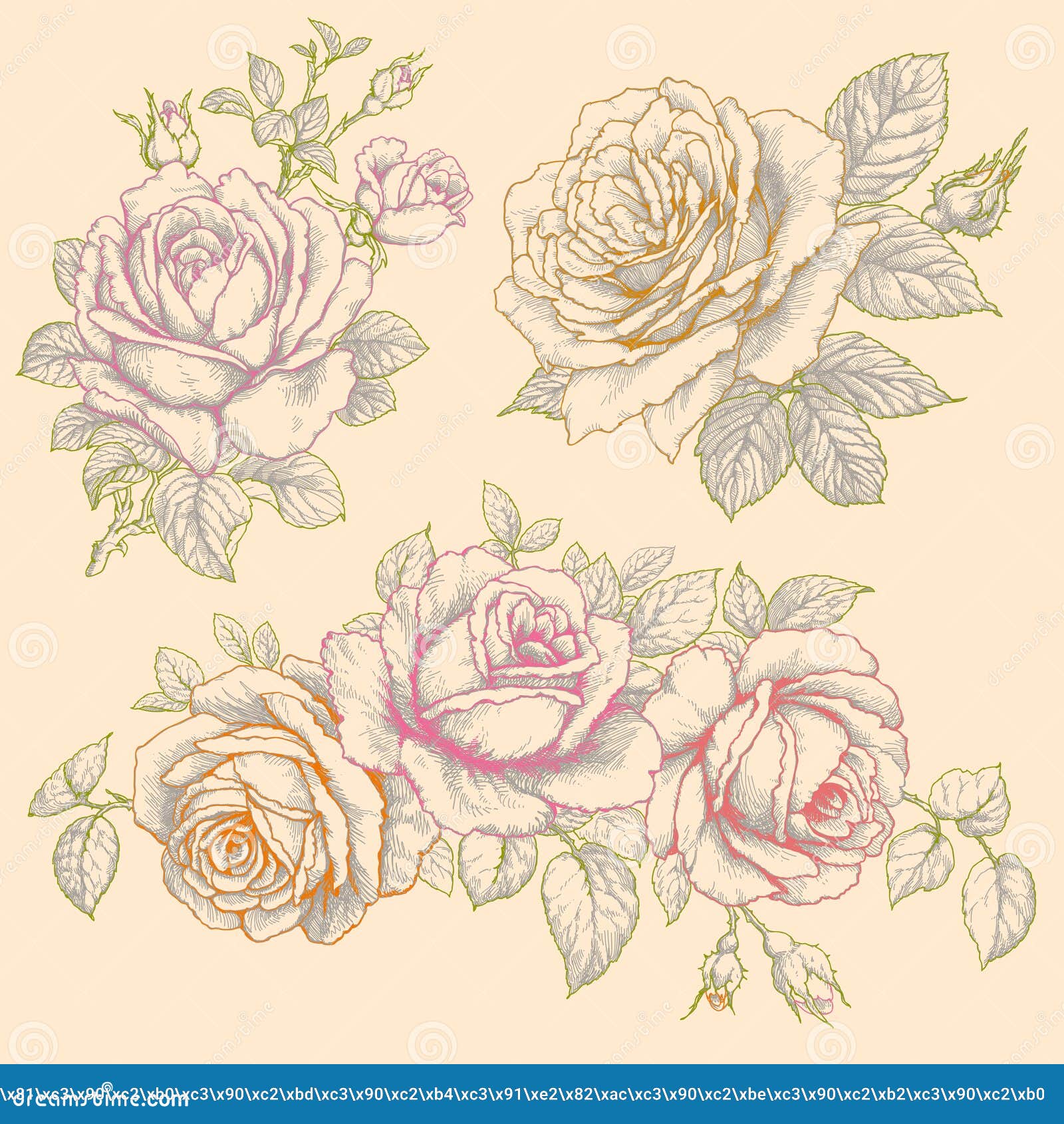 set of flowers. roses. multicolor drawing.