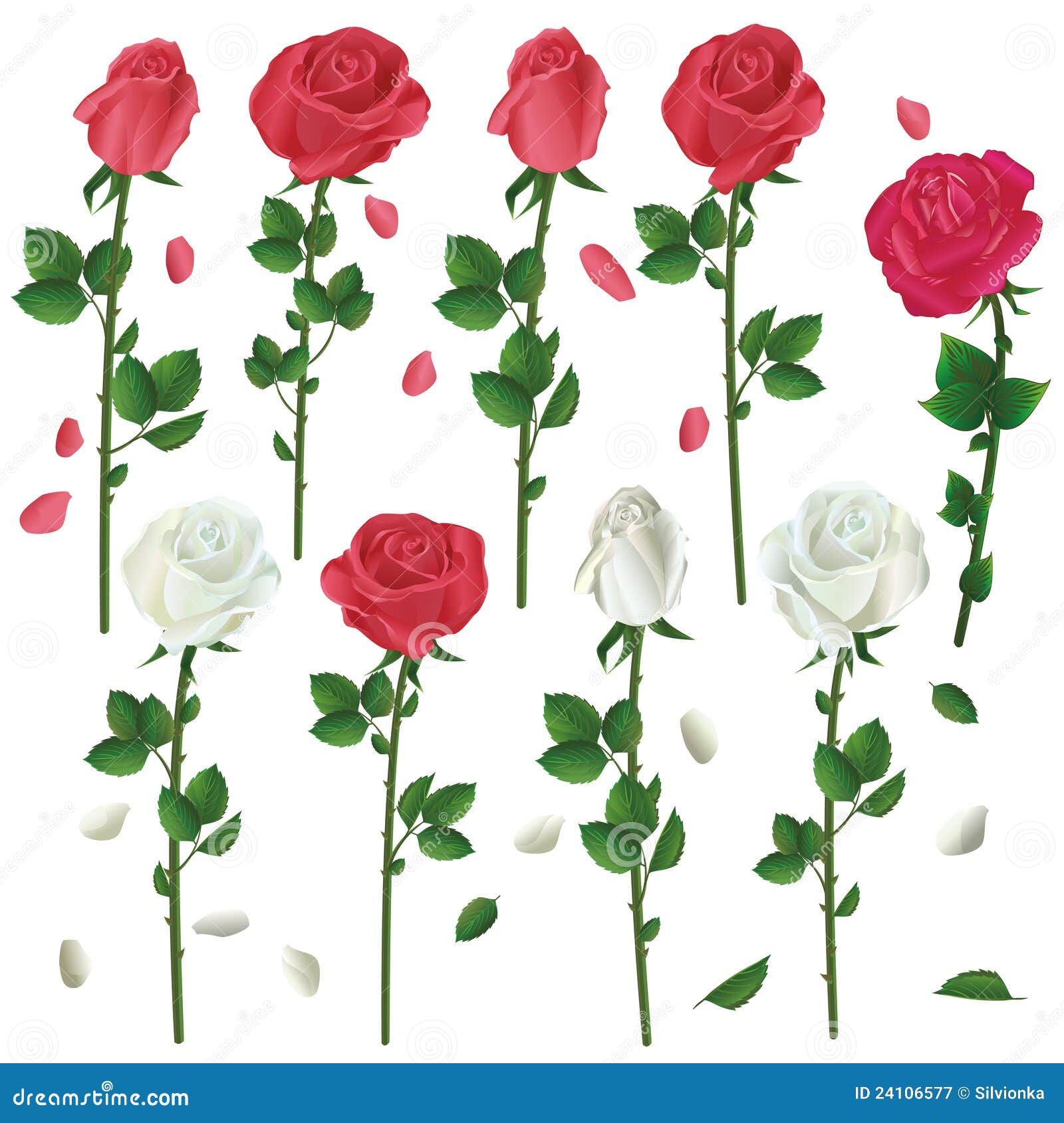 Set of Flowers White and Red Roses Over White Stock Vector ...