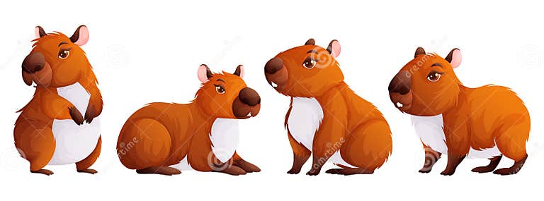 Set of Four Cute Capybaras. Adult Capybaras in Different Poses. Wild