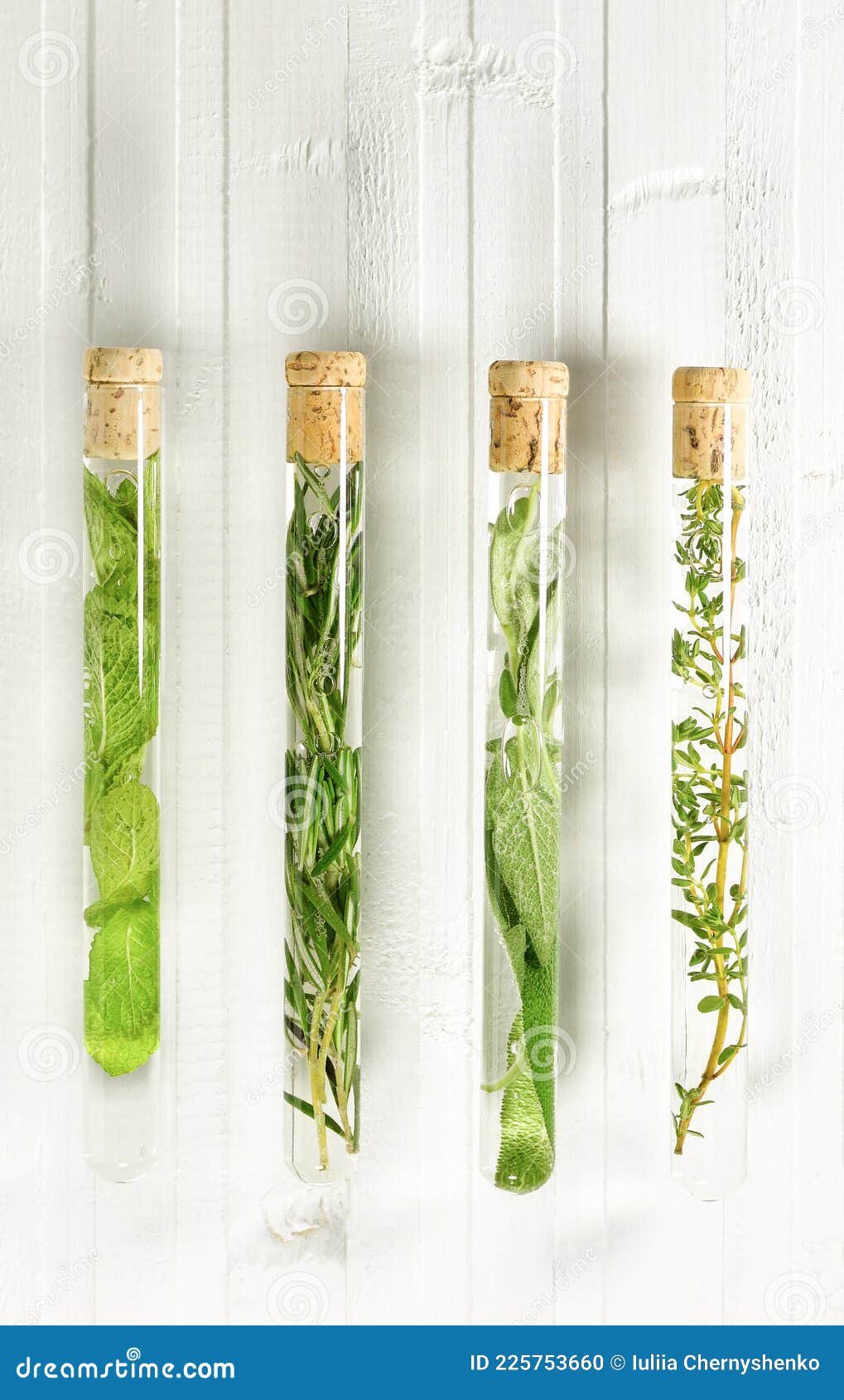 Four Test Tubes with Medicinal Herbs. Stock Photo Image of water