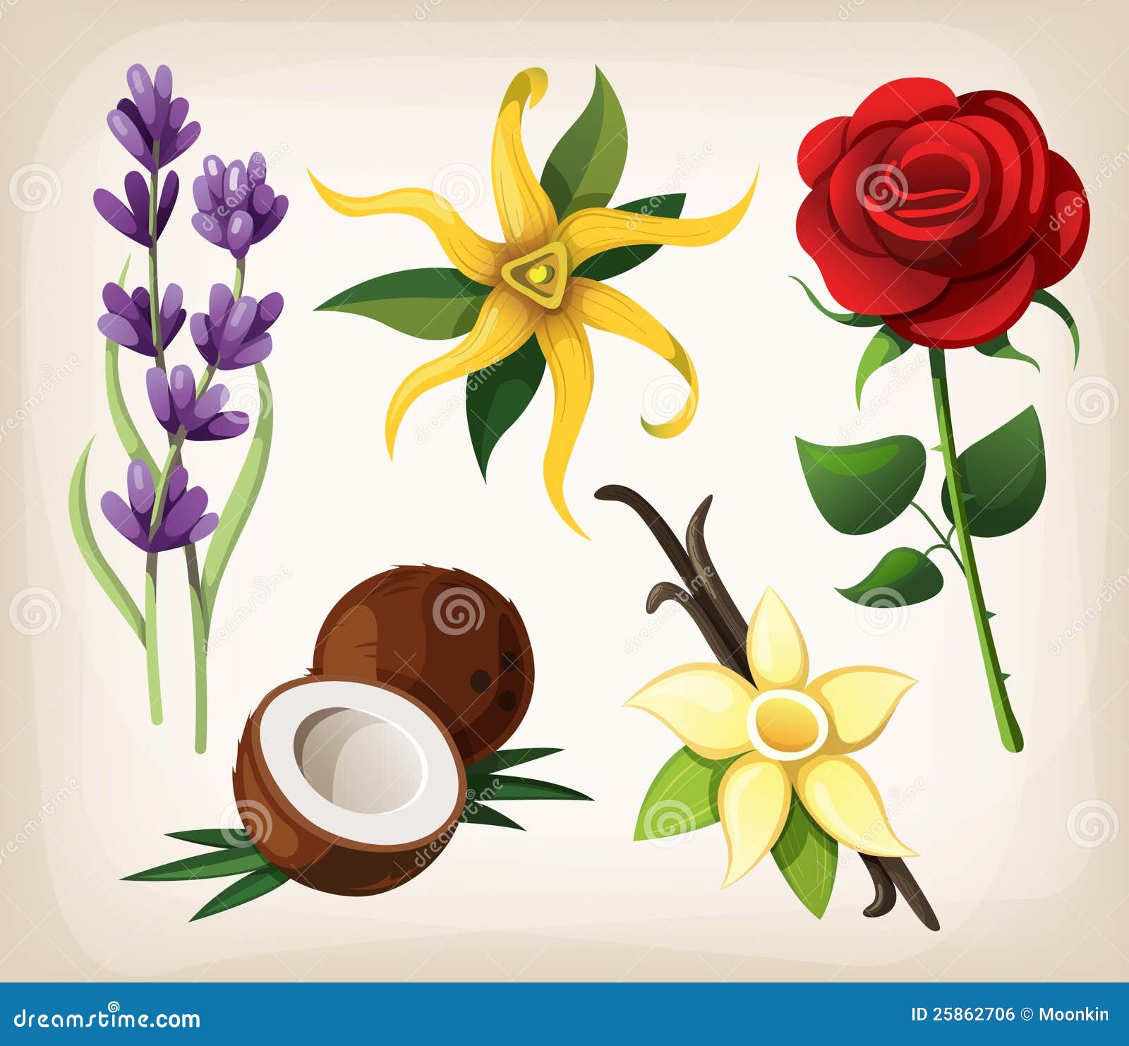 Set Of Fragrant Flower Flavors Stock Vector Image 25862706