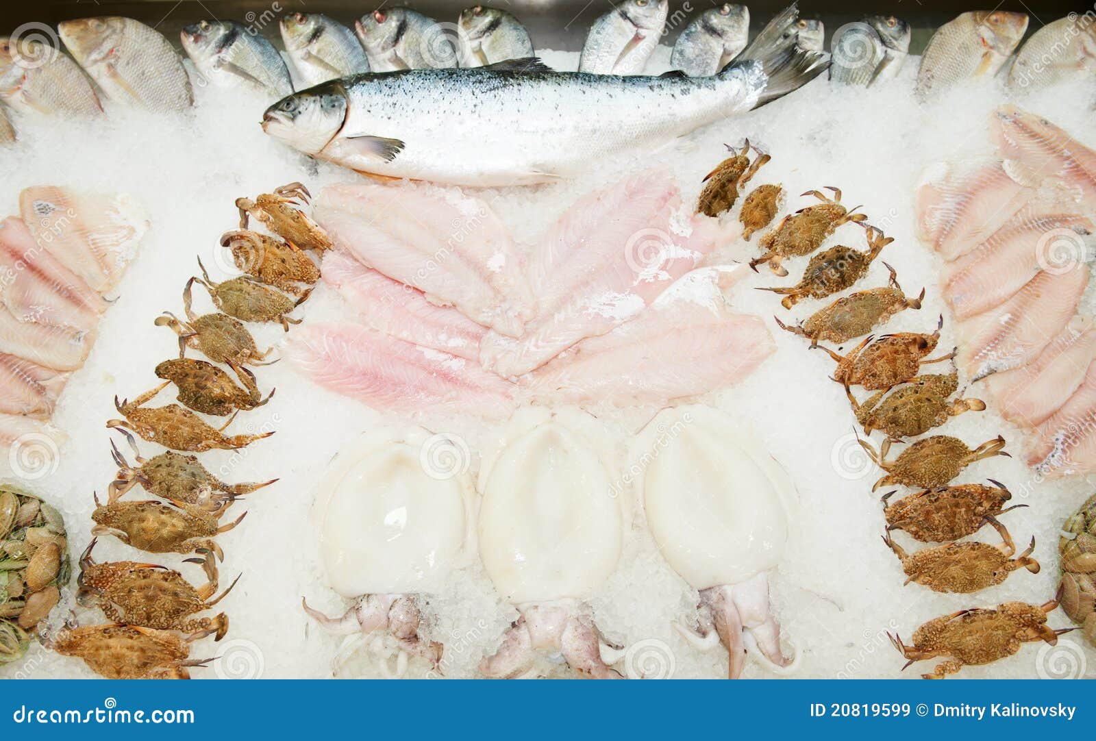 Set of Fresh Frozen Seafood Stock Image Image of mediterranean