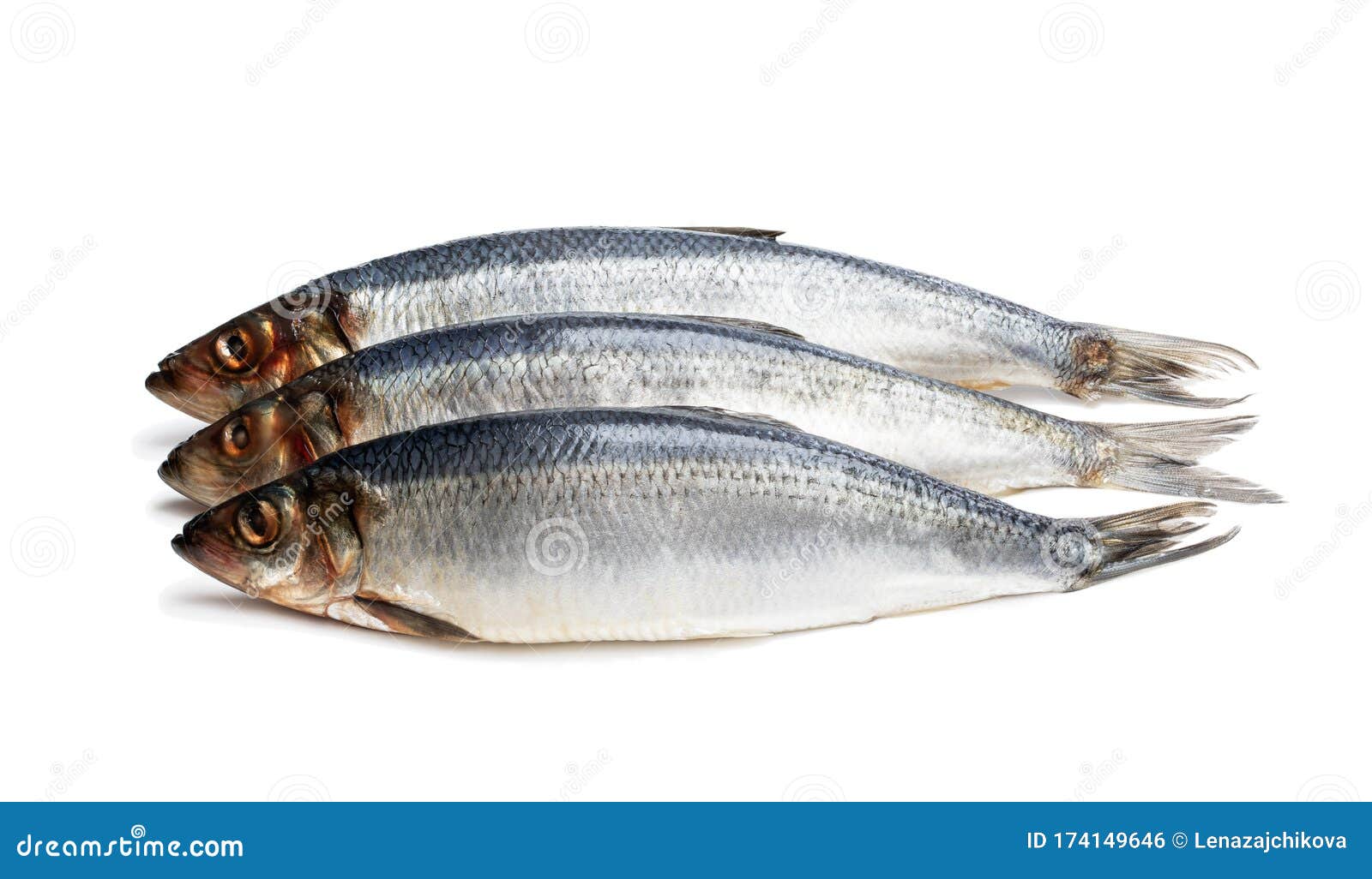 Set of Fresh Whole Herring Fish Isolated on White Stock Photo Image of protein, isolated