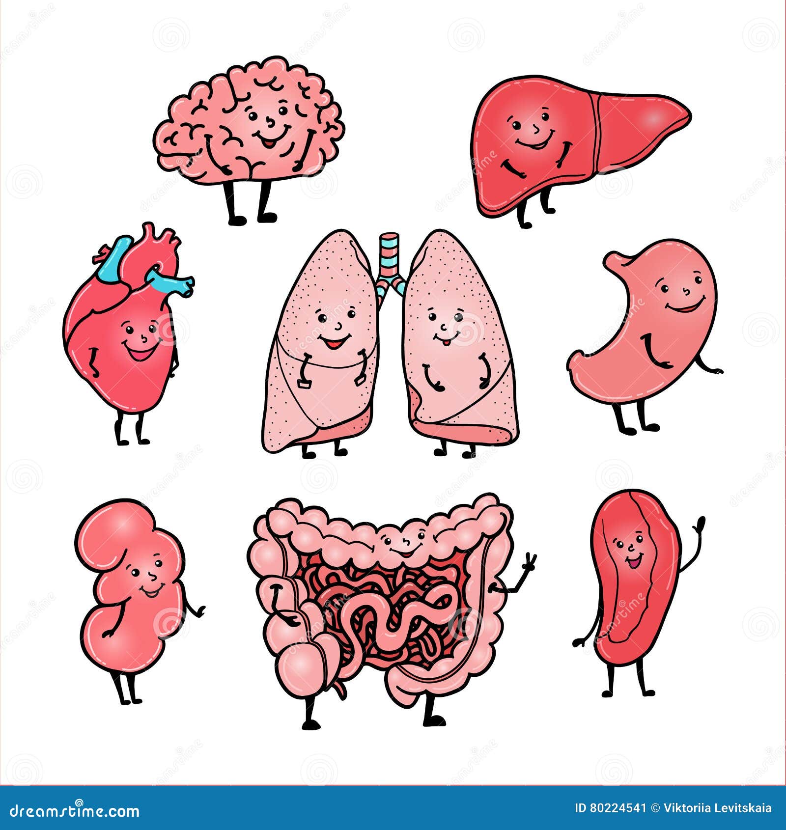 Cute Organs Cartoon Vector | CartoonDealer.com #59780219