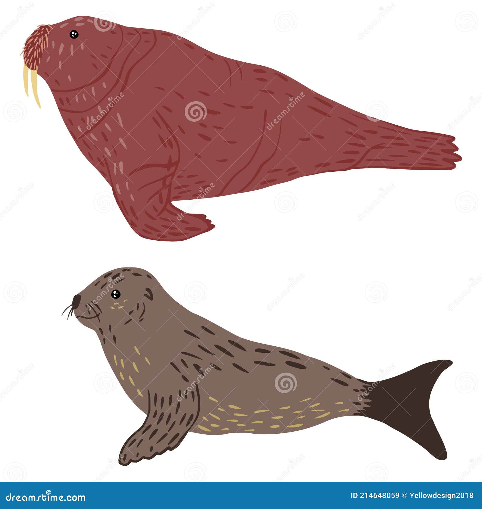 Set Fur Seal and Walrus Isolated on White Background. Cute Animals Gray and  Brown Color Character Design from Arctic Stock Vector - Illustration of  nature, graphic: 214648059
