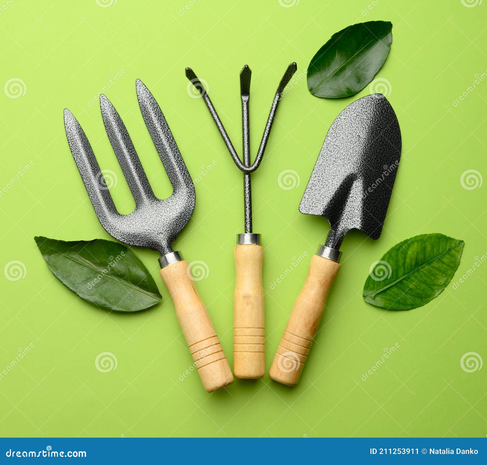 Set of Garden Tools with Wooden Handles on a Green Background Stock ...