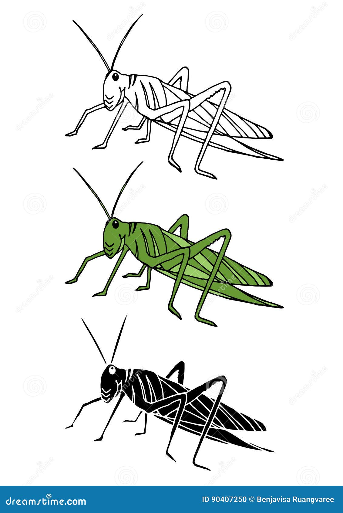 Grasshopper Vector Drawing Vector Illustration