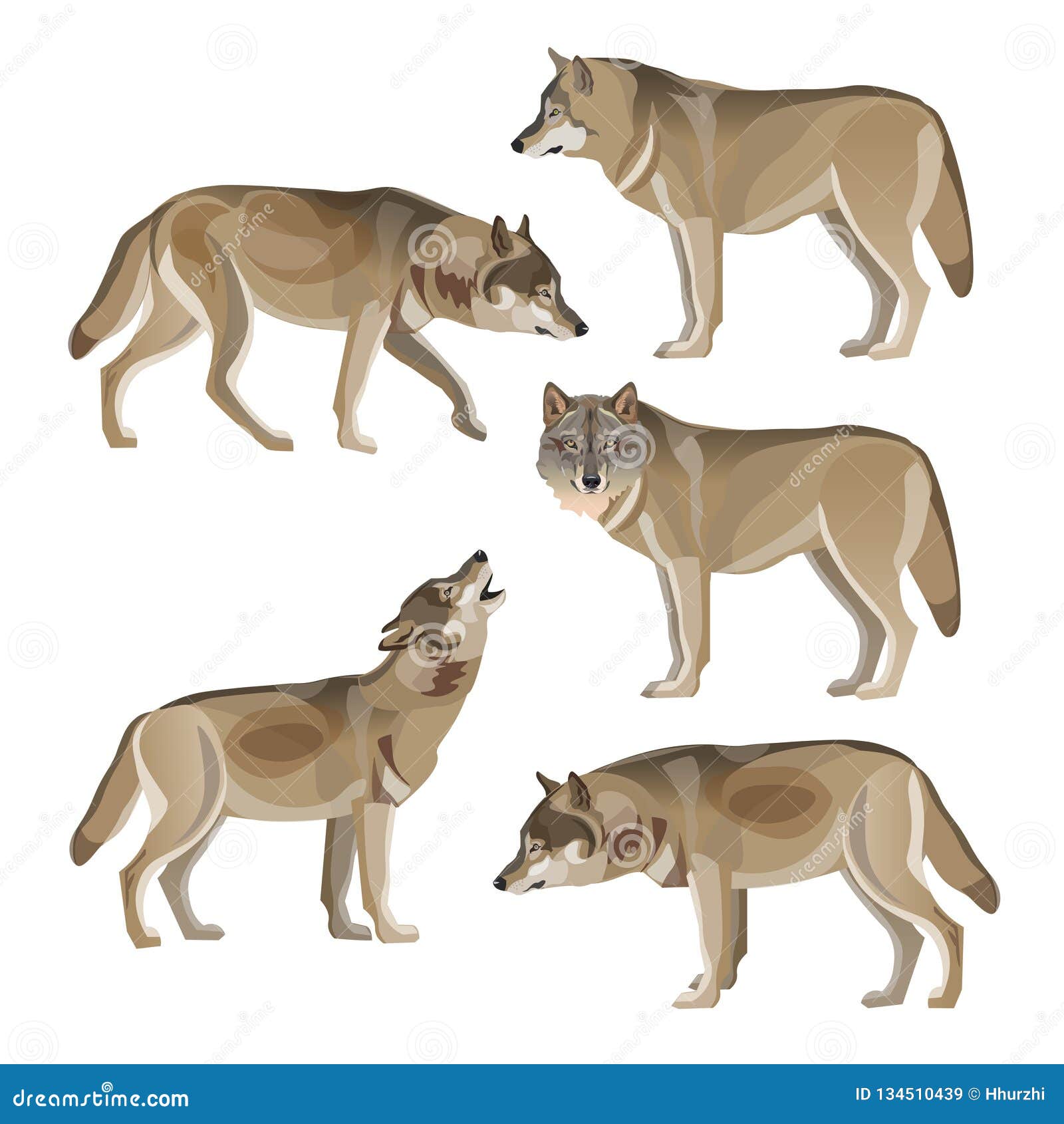 Wolves In Various Poses 3D Renders Stock Photo | CartoonDealer.com ...