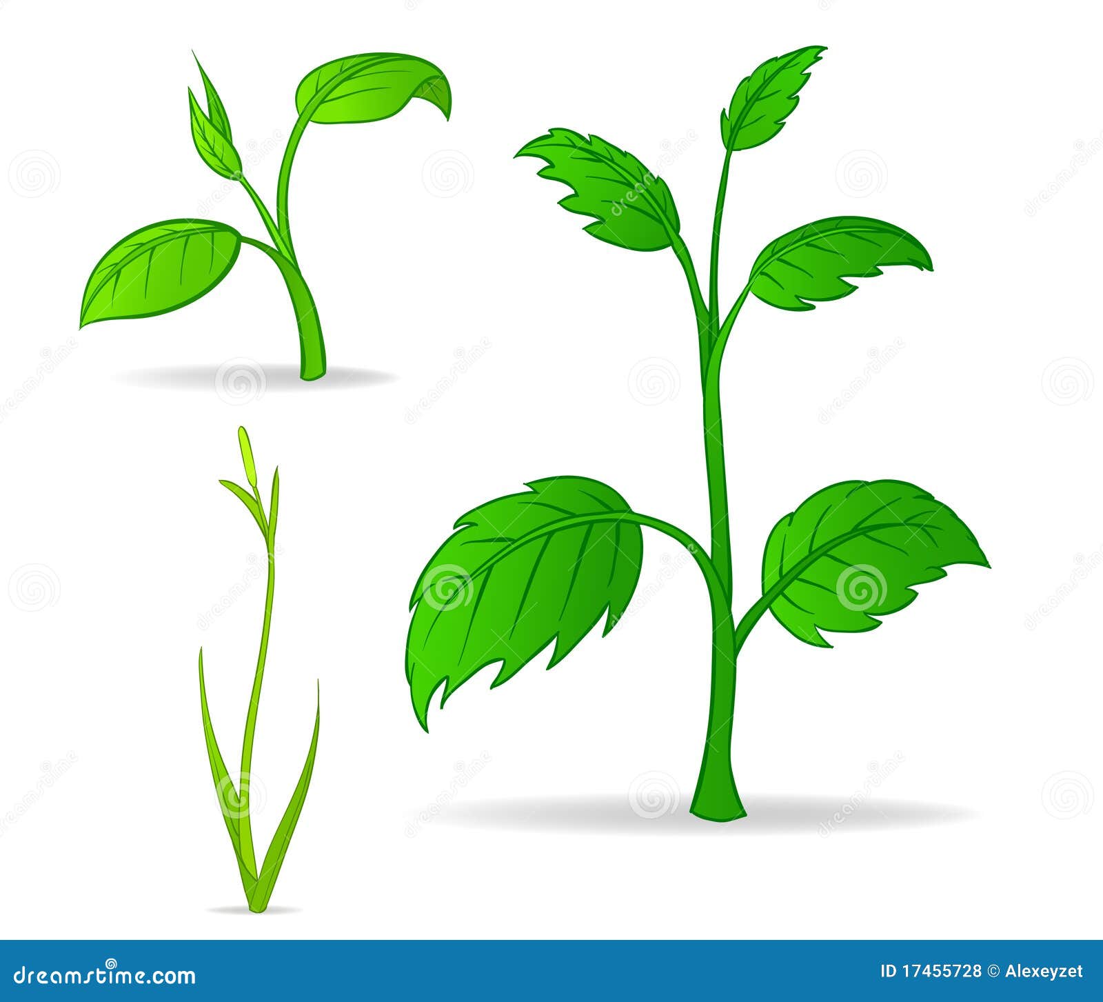 Set of Green Cartoon Plants Stock Vector - Illustration of leaf, stem:  17455728