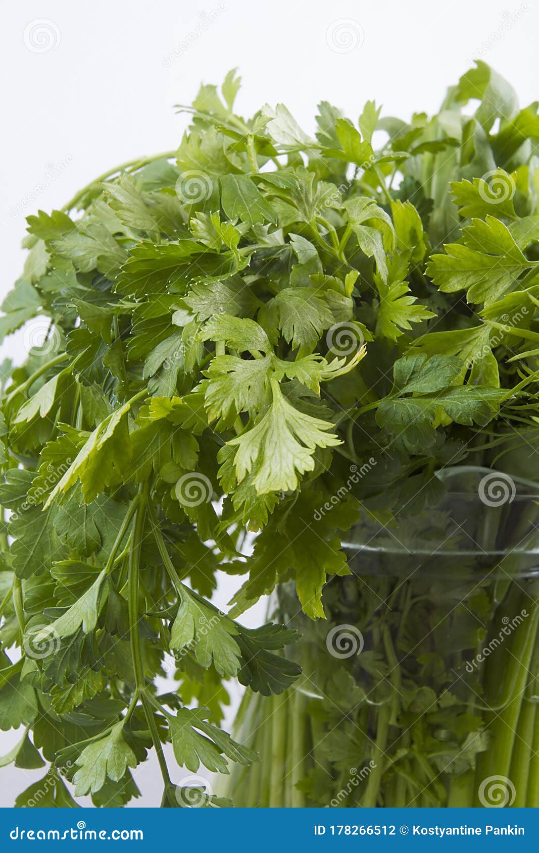 Set of green herbs stock photo. Image of fresh, leaf 178266512