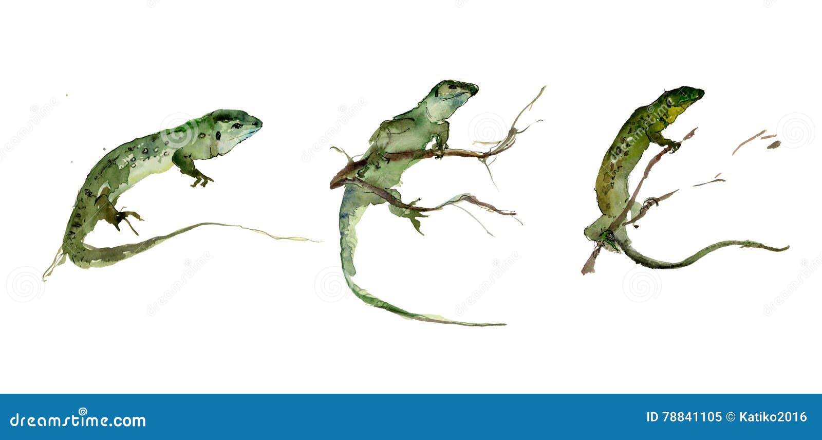 set of green lizards on the white background. watercolor painting.