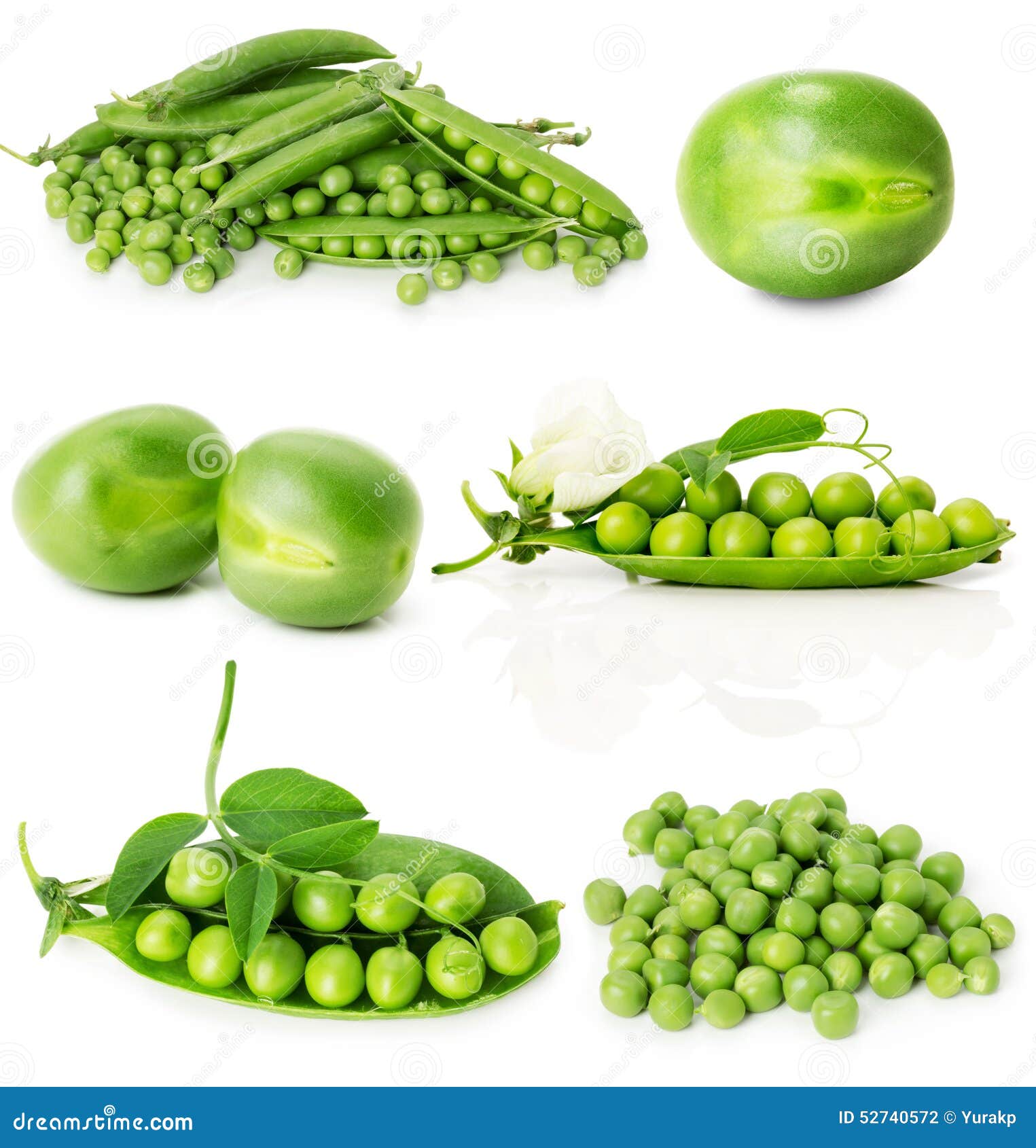 Set of Green Peas Isolated on the White Background Stock Photo Image