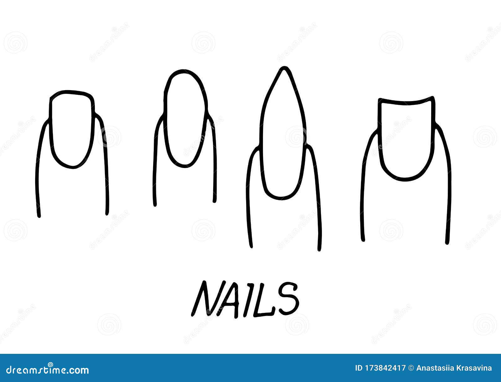 Set of Hand Drawn Doodle Nail Forms. Square, Sharp, Oval Nails on