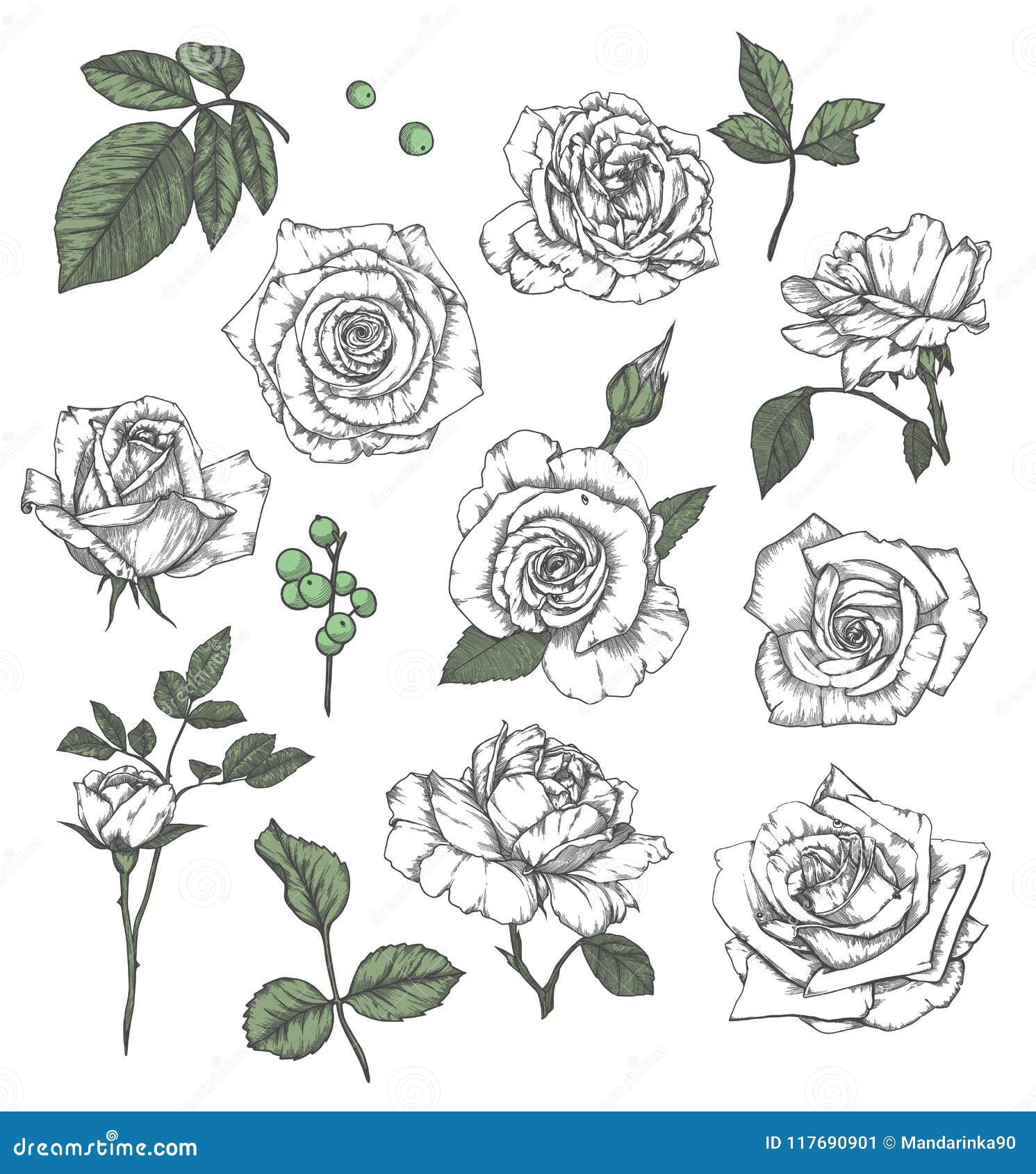 Как нарисовать розу вьющуюся