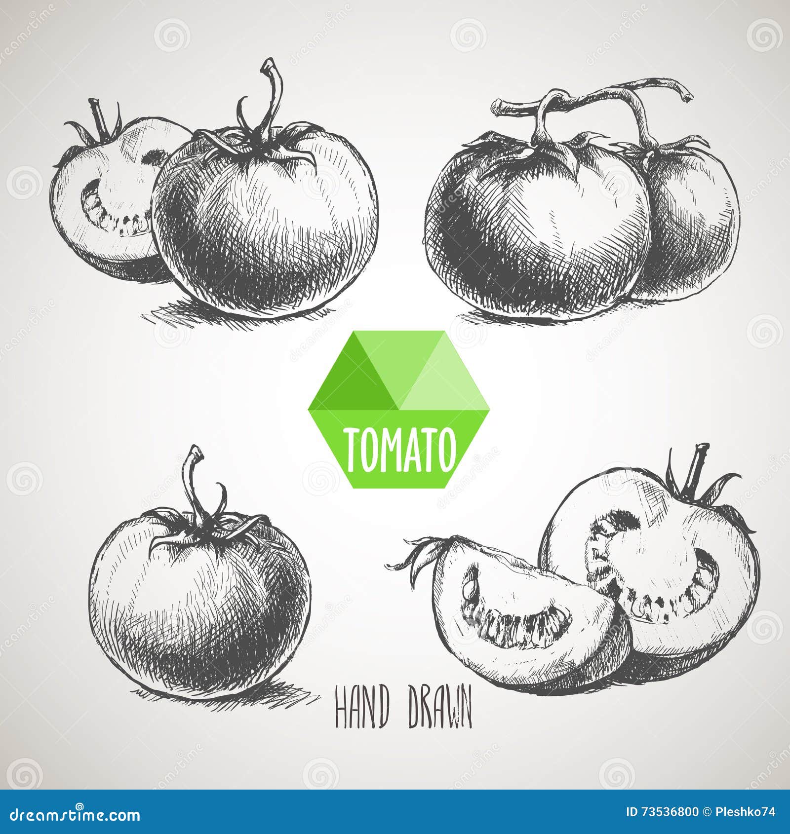 2409 Tomatoes Sketch Pencil Images Stock Photos  Vectors  Shutterstock