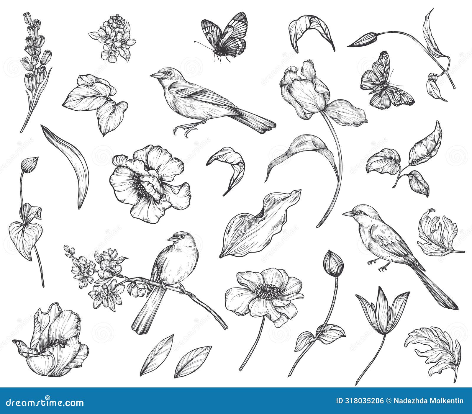 Spring Dreams Garden Sketch White on White Spring Dreams Garden Sketch White on White