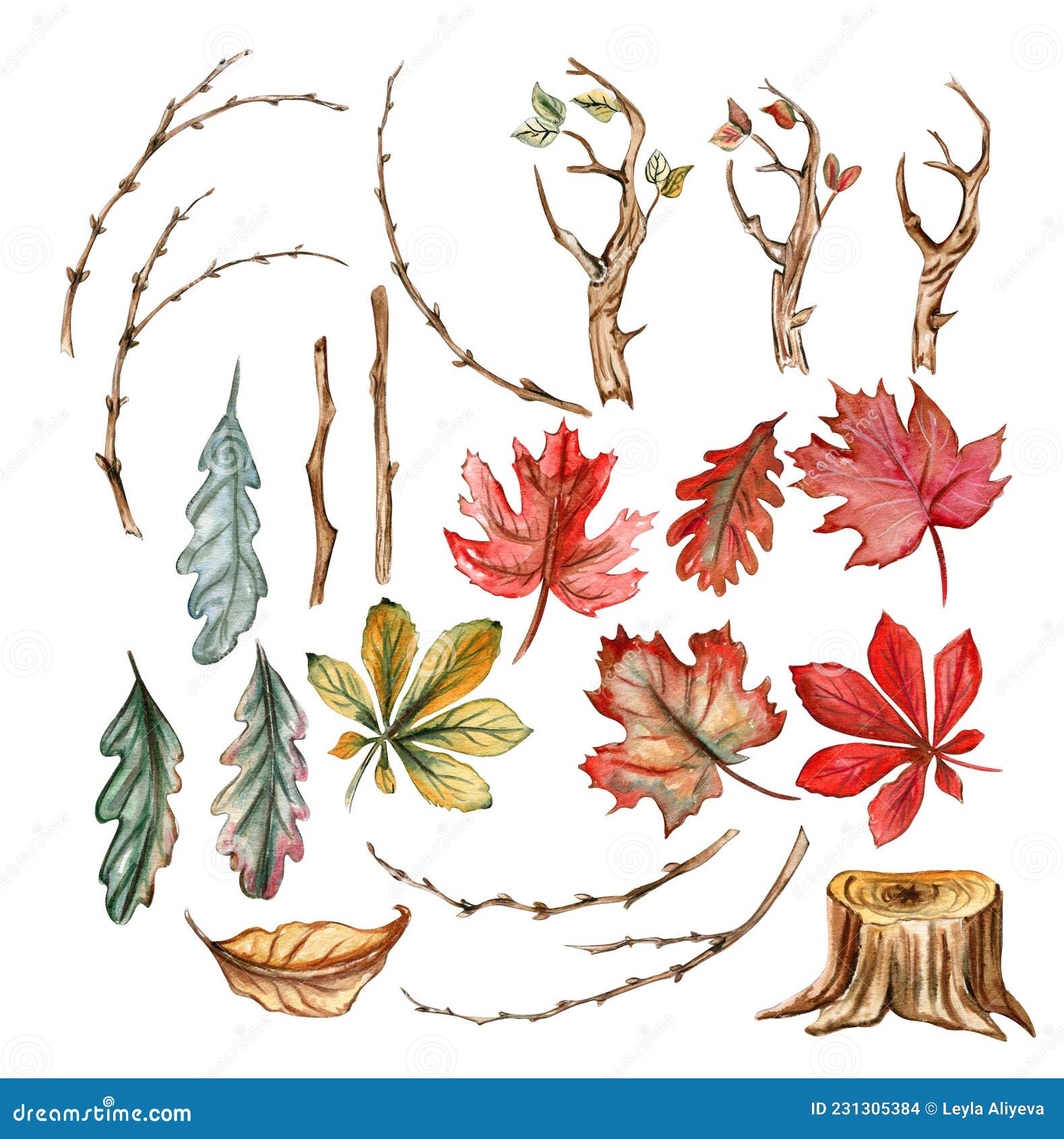 forest treasures clipart set