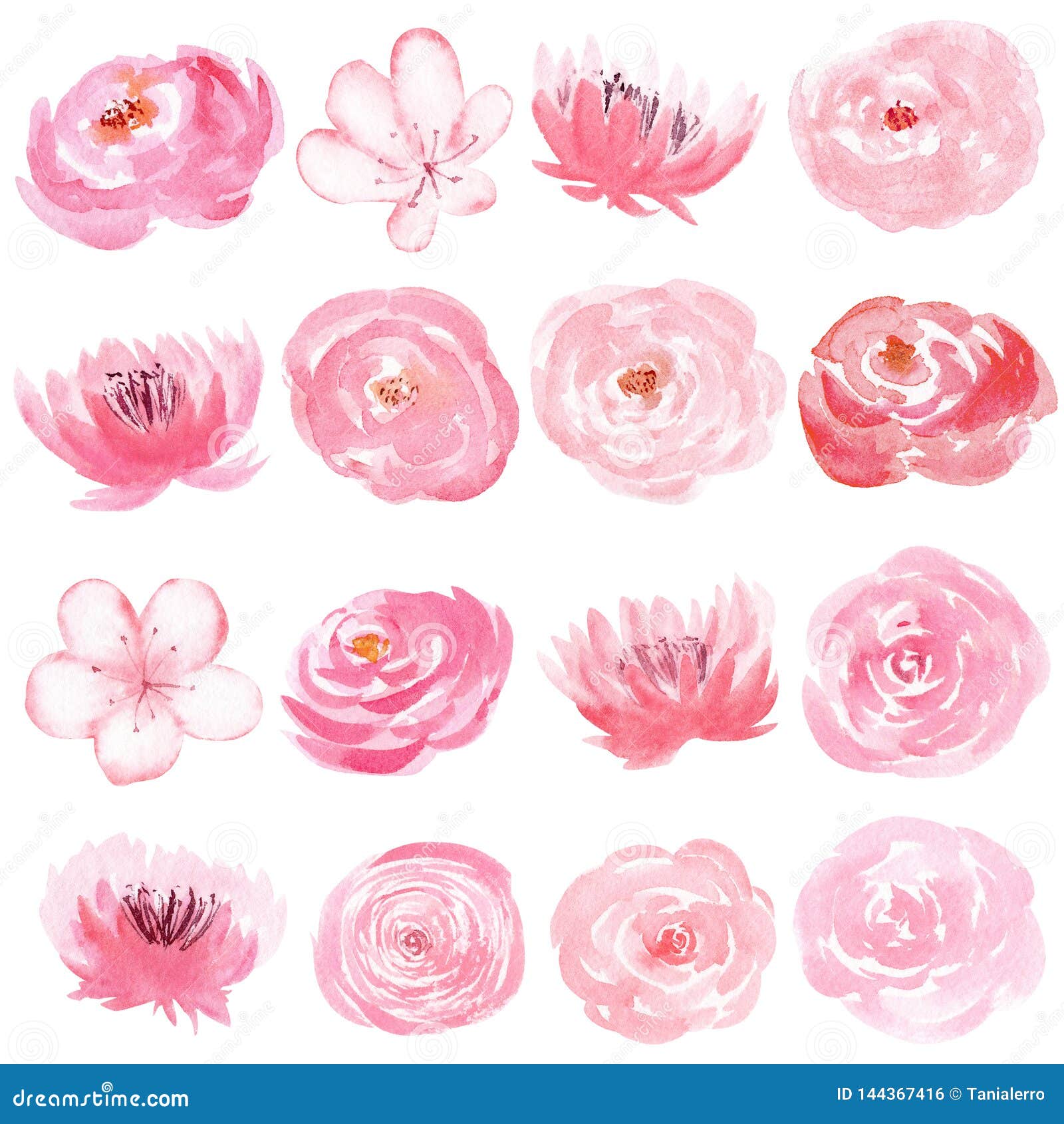 Set of Hand Painted Watercolor Flowers in Pastel Pink Color. Stock ...