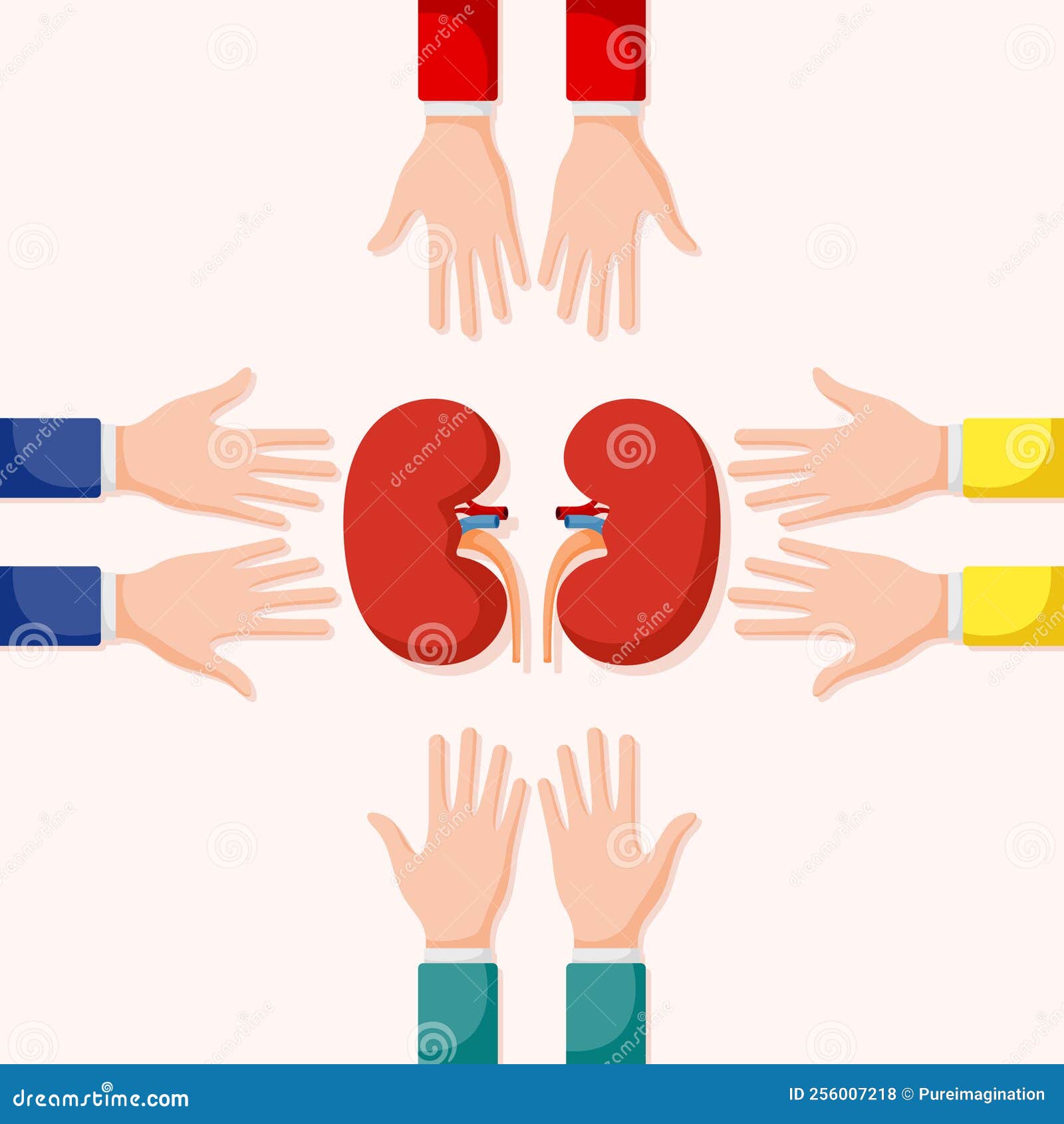 Set of Hands Gestures with Kidney Stock Vector Illustration of hand