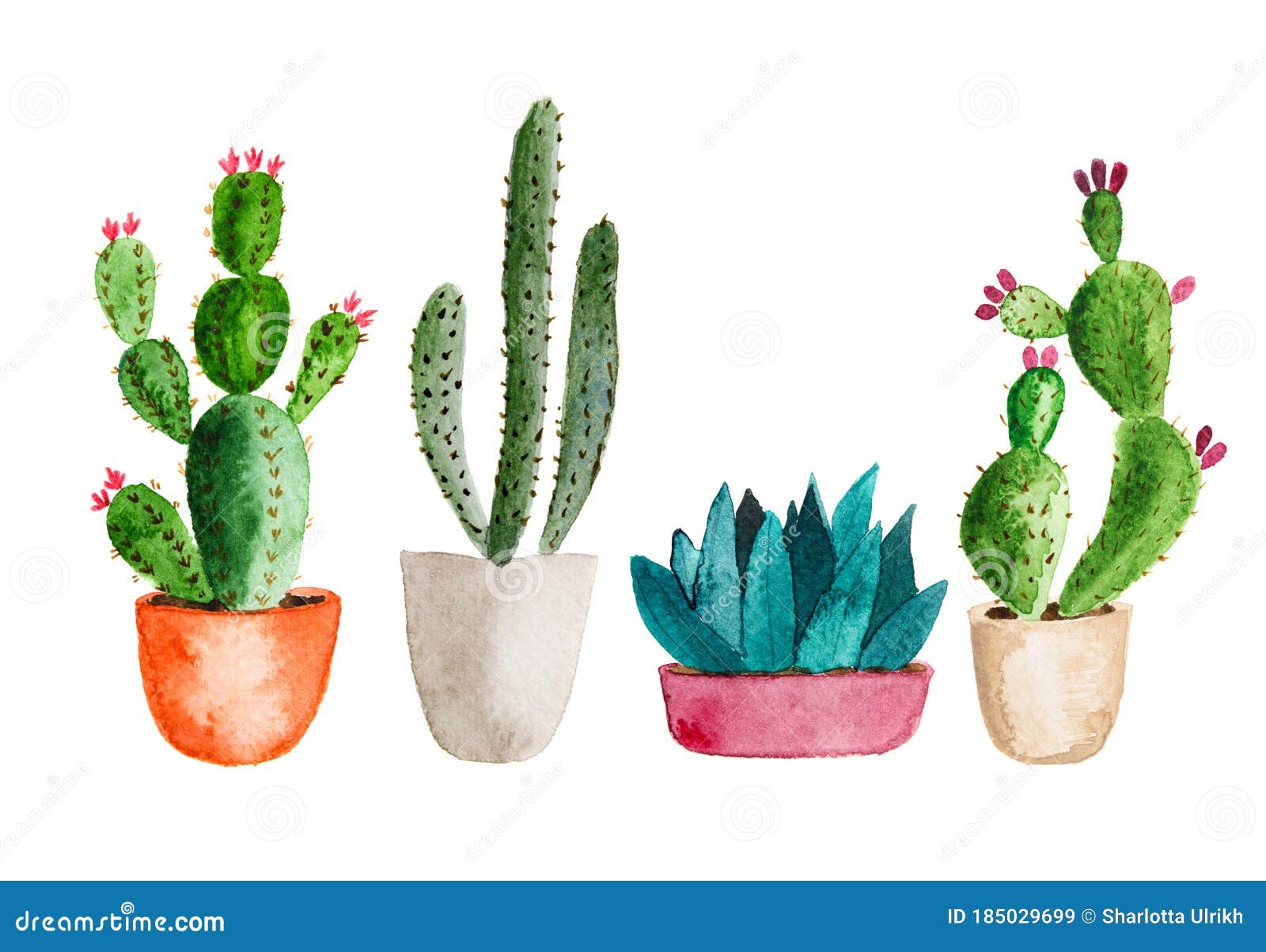 111 Cactus Clipart Stock Photos - Free & Royalty-Free Stock Photos from  Dreamstime