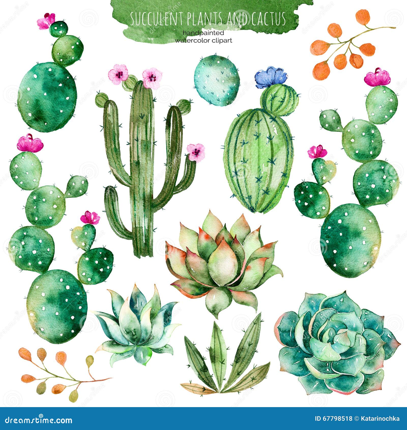 set of high quality hand painted watercolor s for your  with succulent plants, cactus and more.