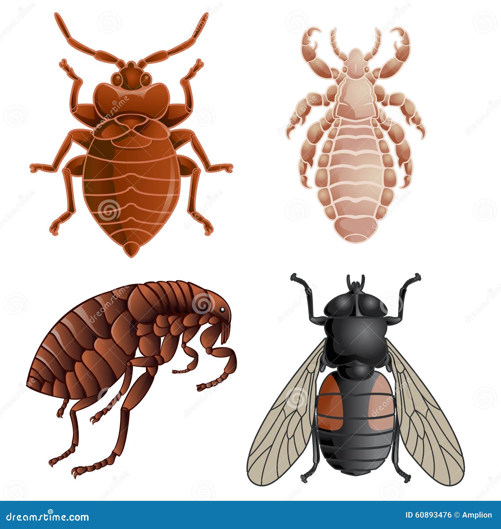 Set Of Parasites Vector Illustration | CartoonDealer.com #71730502