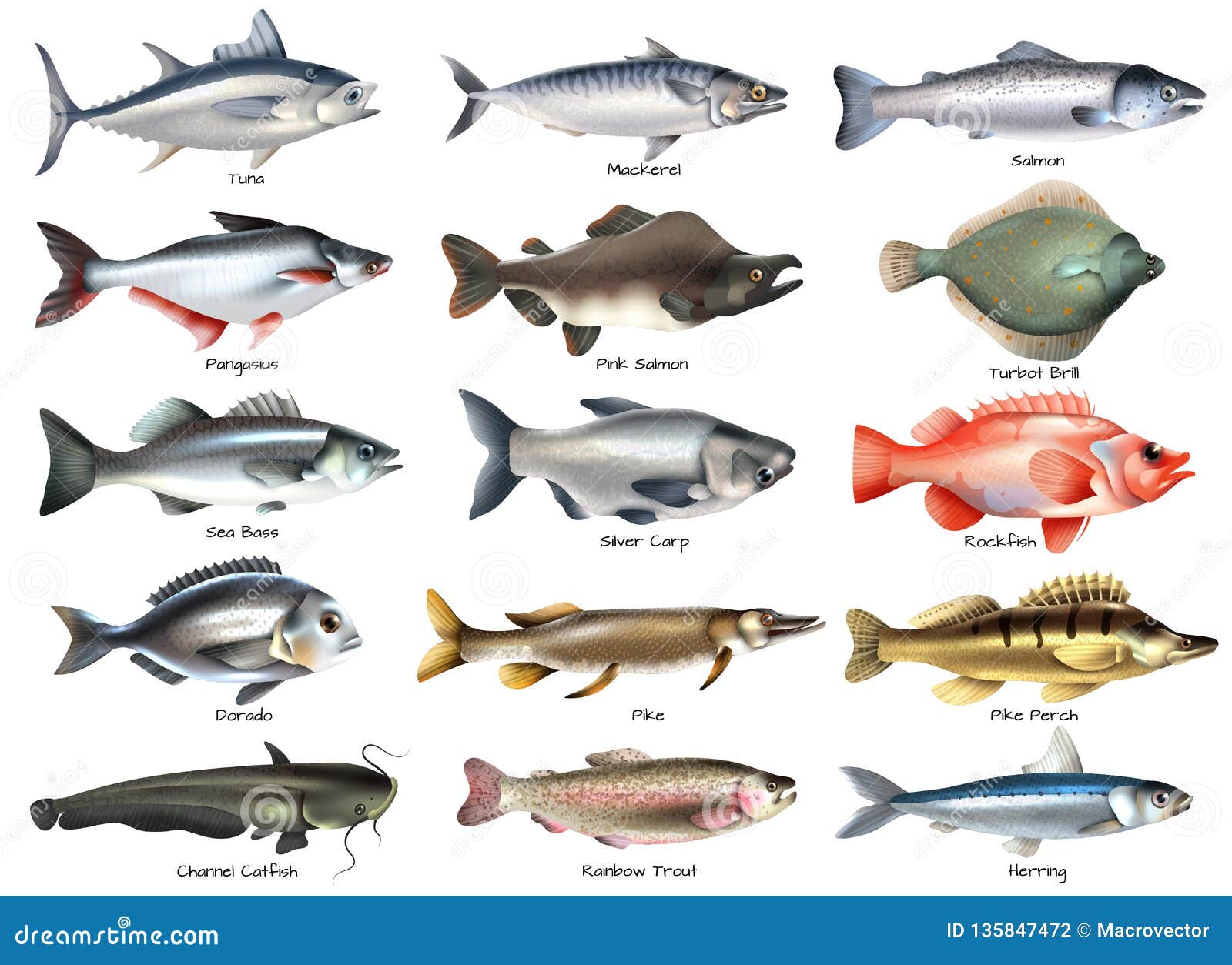 哪种大型淡水鱼被钓的频率最高？垂钓频率较高的几种大型淡水鱼 - 知乎