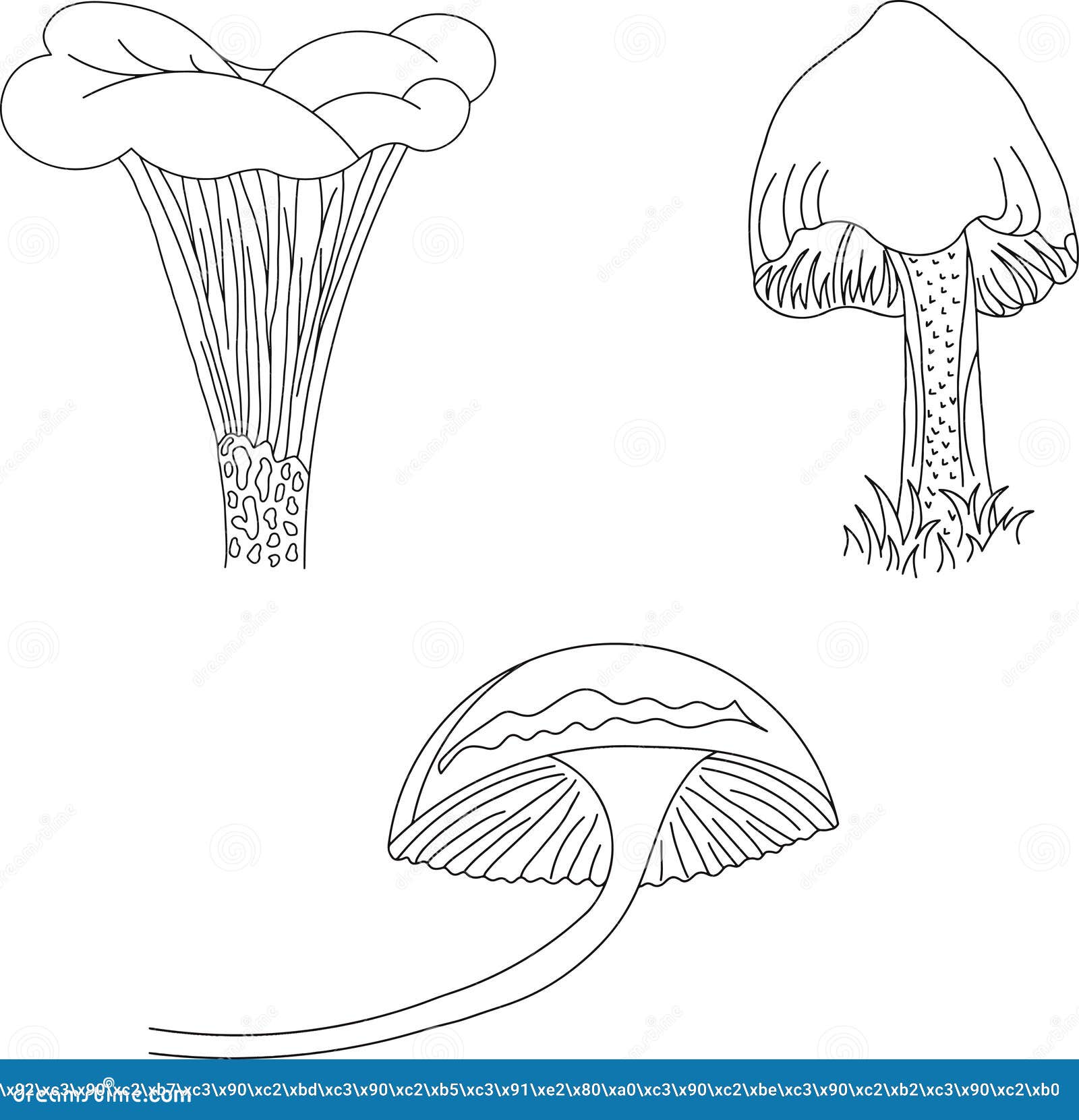 A Set of Illustrations of Mushrooms. Drawings for Coloring Stock Vector ...
