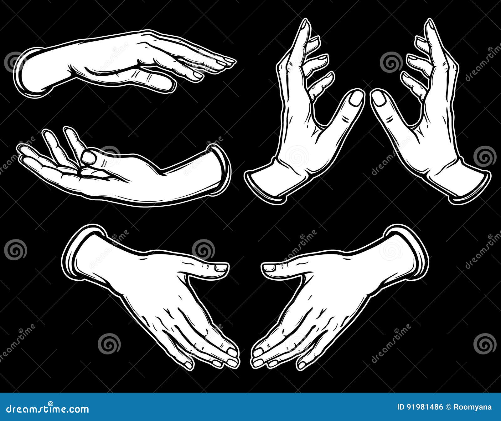 picture Hands Poses Vector dreamstime com