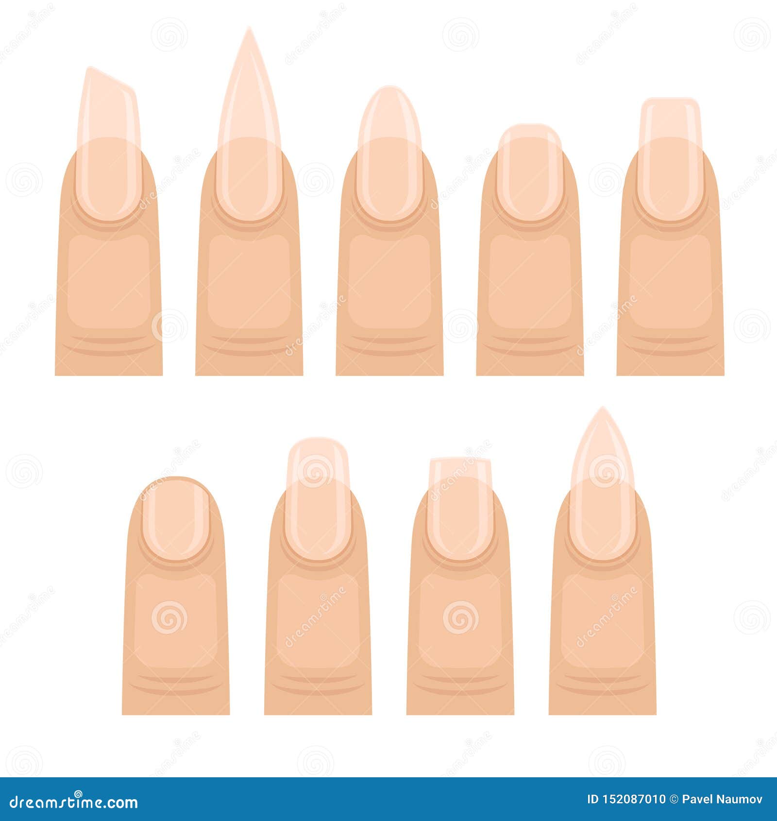 Set of Images of Nails. Vector Illustration on White Background. Stock