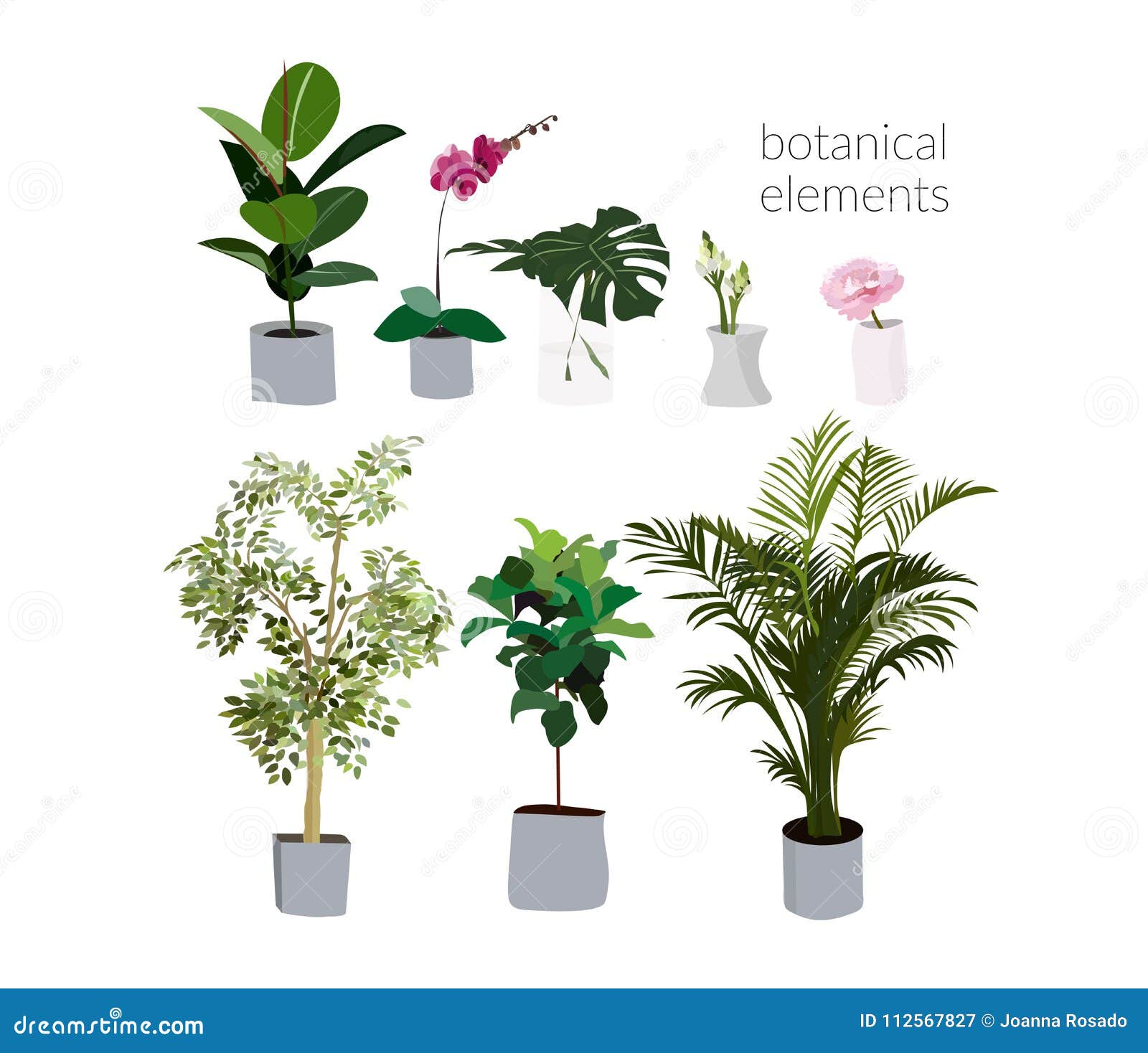 Vector Pot Plants Illustration Philodendron Palm Tree