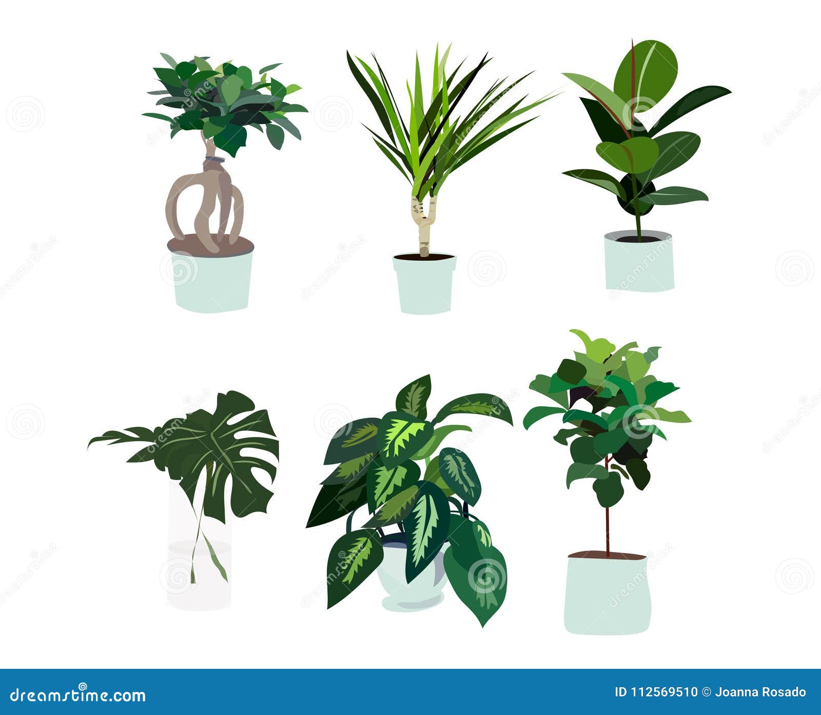 Vector Pot Plants Illustration Philodendron Palm Tree