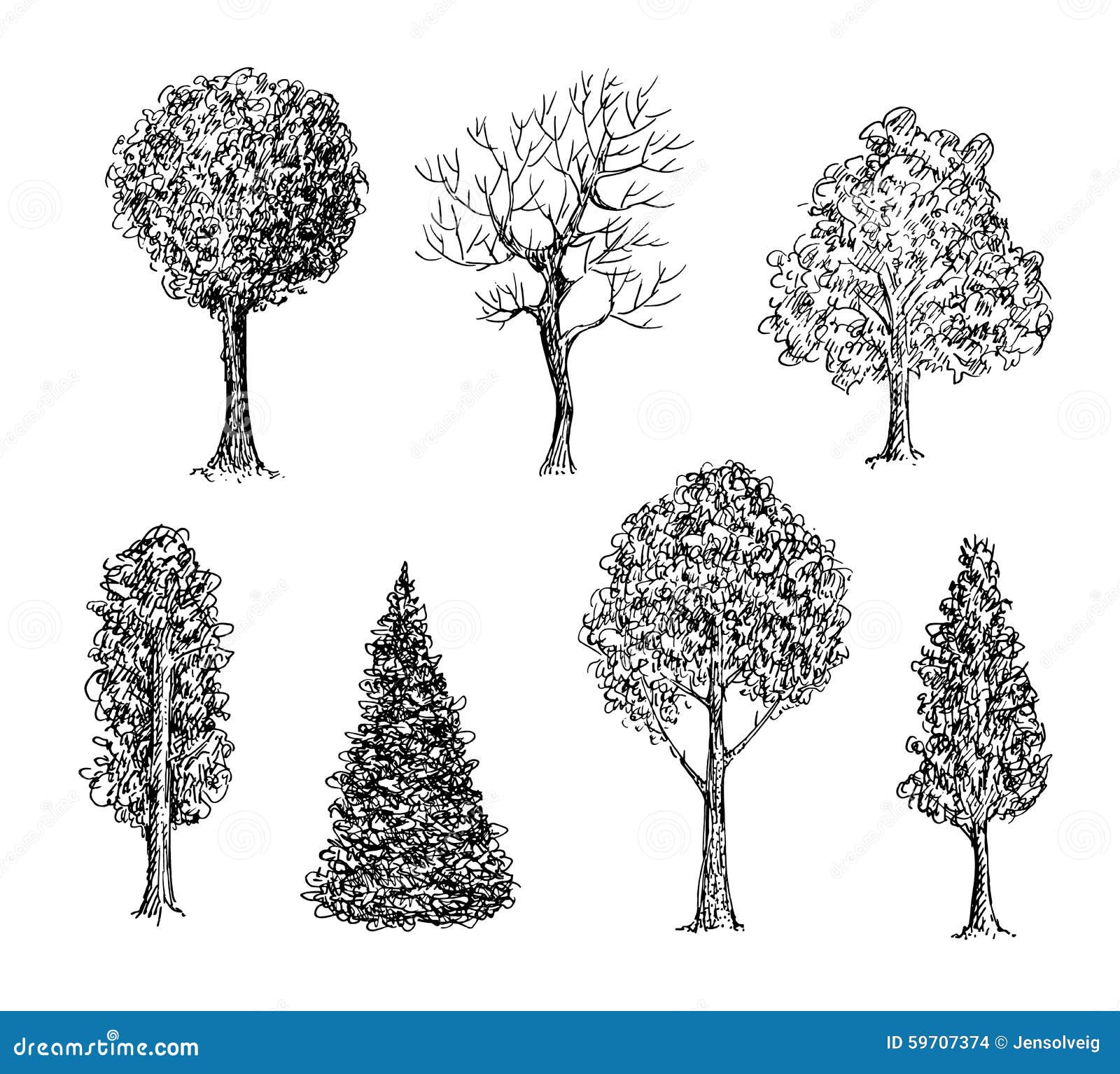 Set Of Ink Hand Drawn Black And White Trees Stock Vector