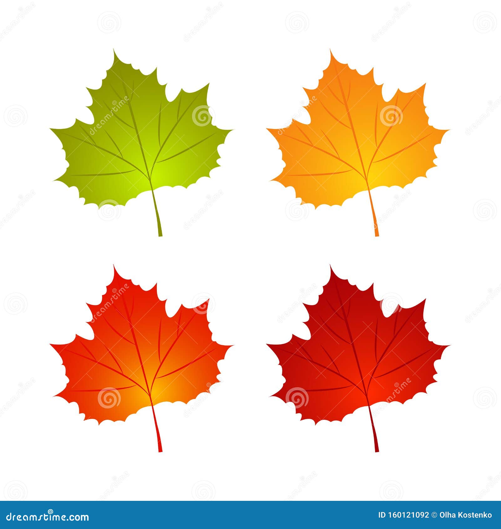 Colorful Autumn Leaves - Maple Leaf Style Fall Plant / Tree Clip Art