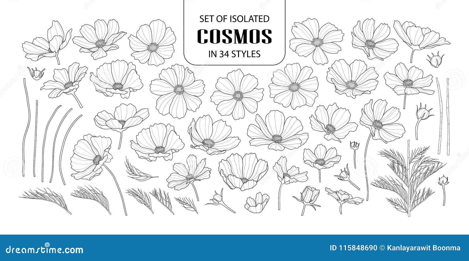 set of  cosmos in 34 styles.