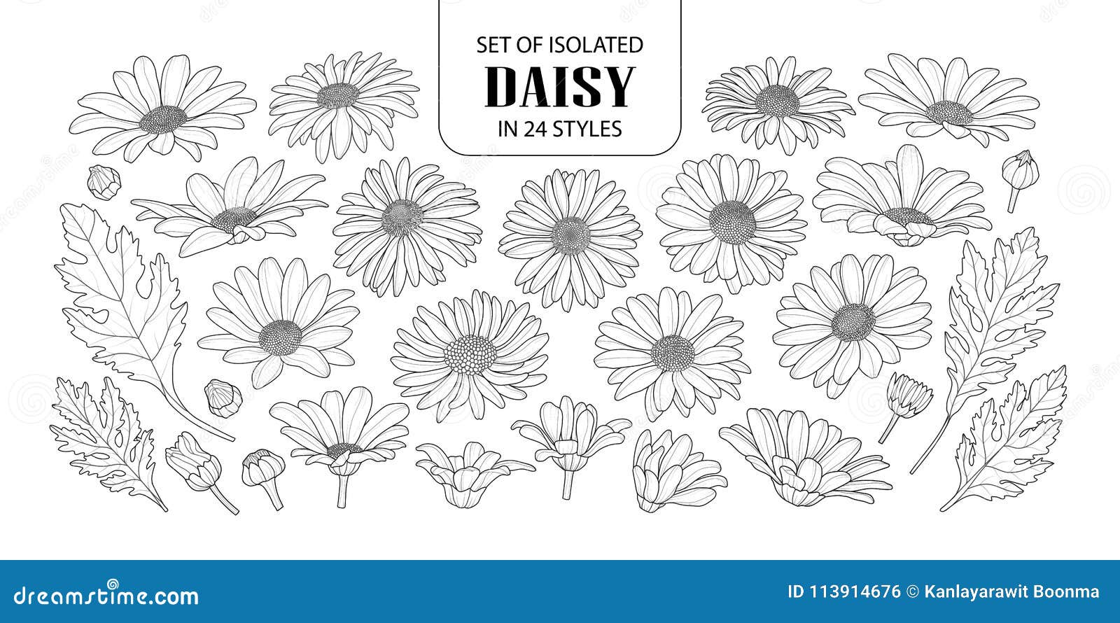 set of  daisy in 24 styles.