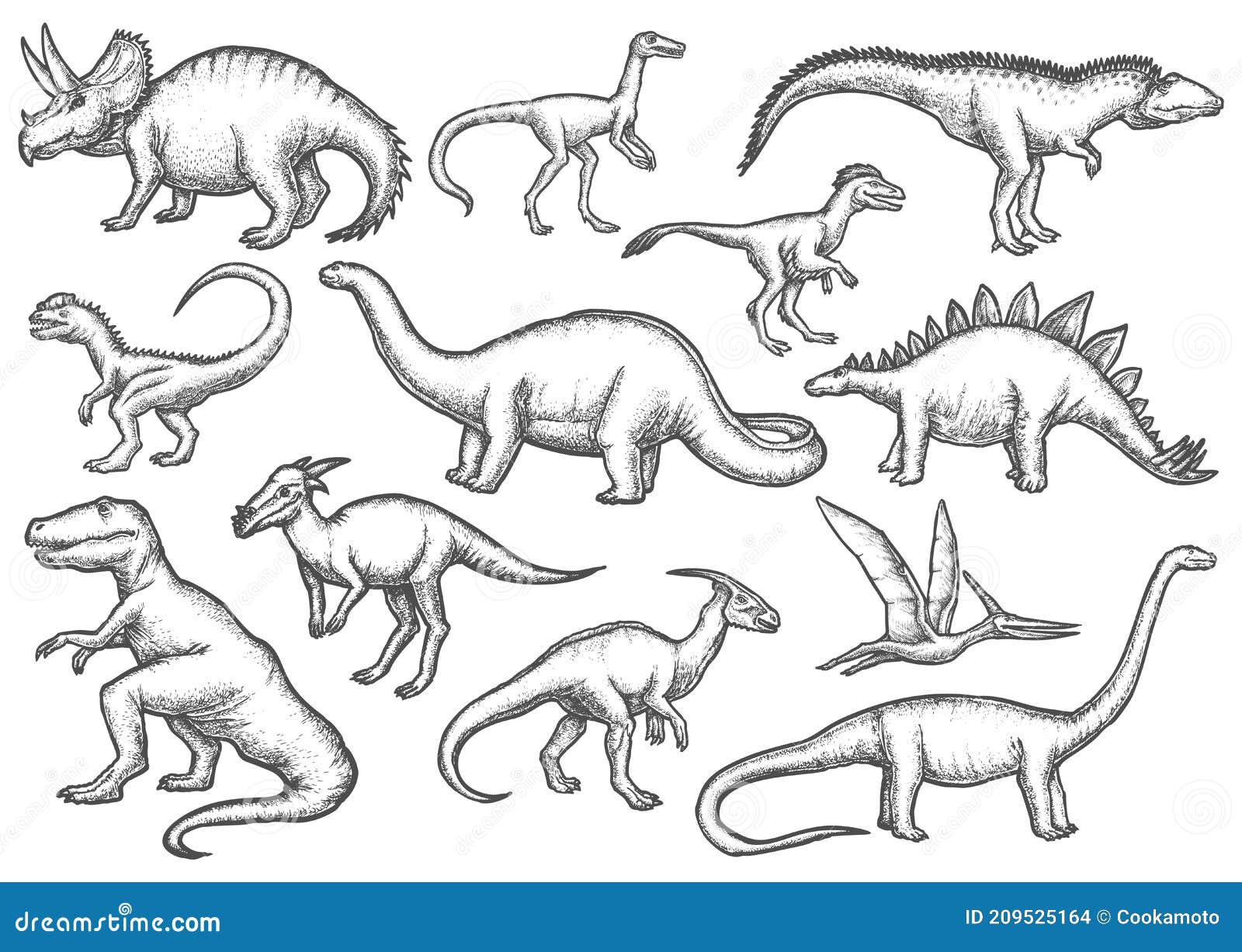 Dinosaur Drawing Images  Browse 137477 Stock Photos Vectors and Video   Adobe Stock