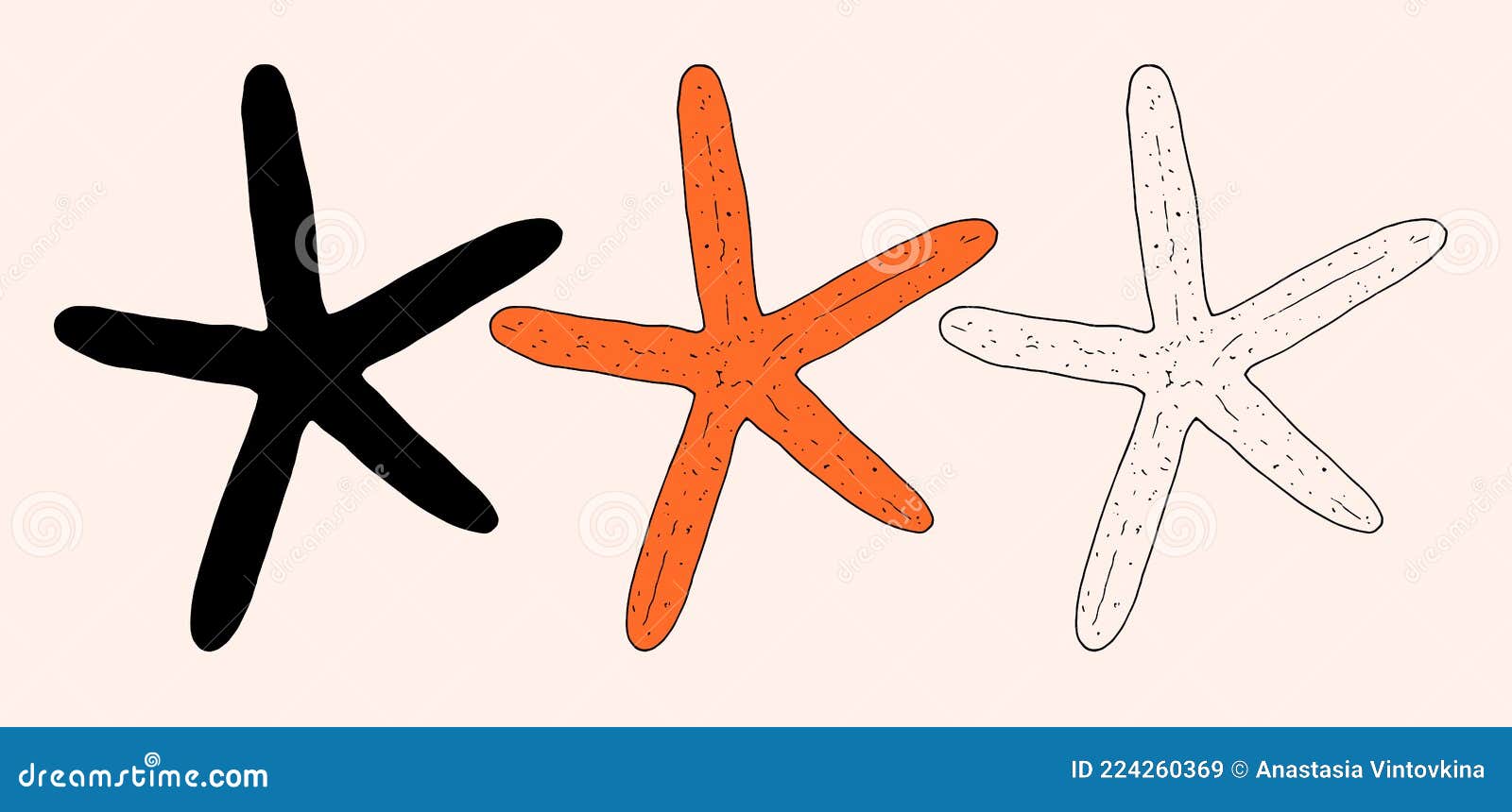 Starfish clipart, Starfish clipart black and white, Starfish transparent, Sea  star drawing