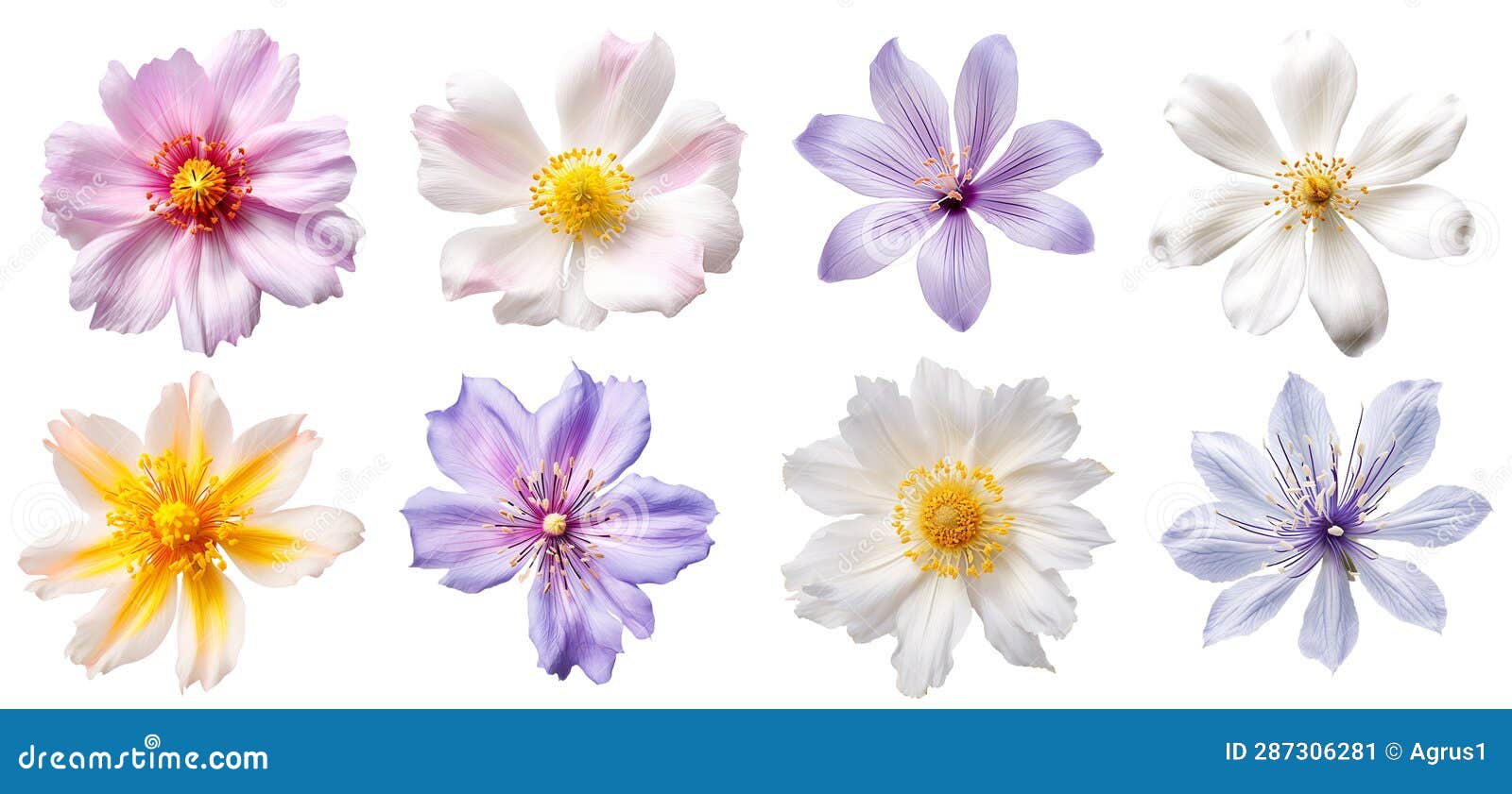 Set of Isolated Illustrations of Different Flowers. Created with Generative AI Stock