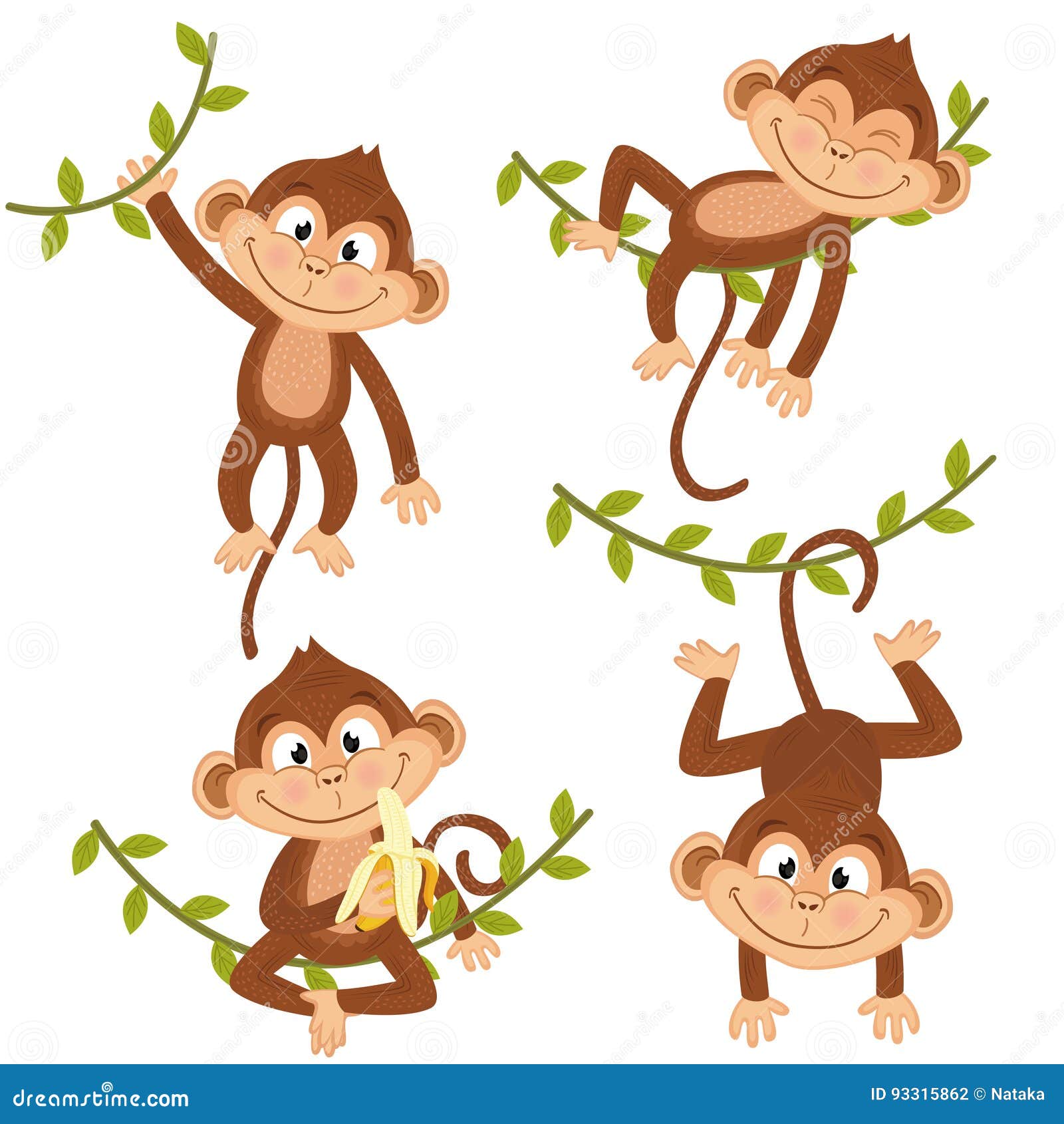 set of  monkey hanging on vine