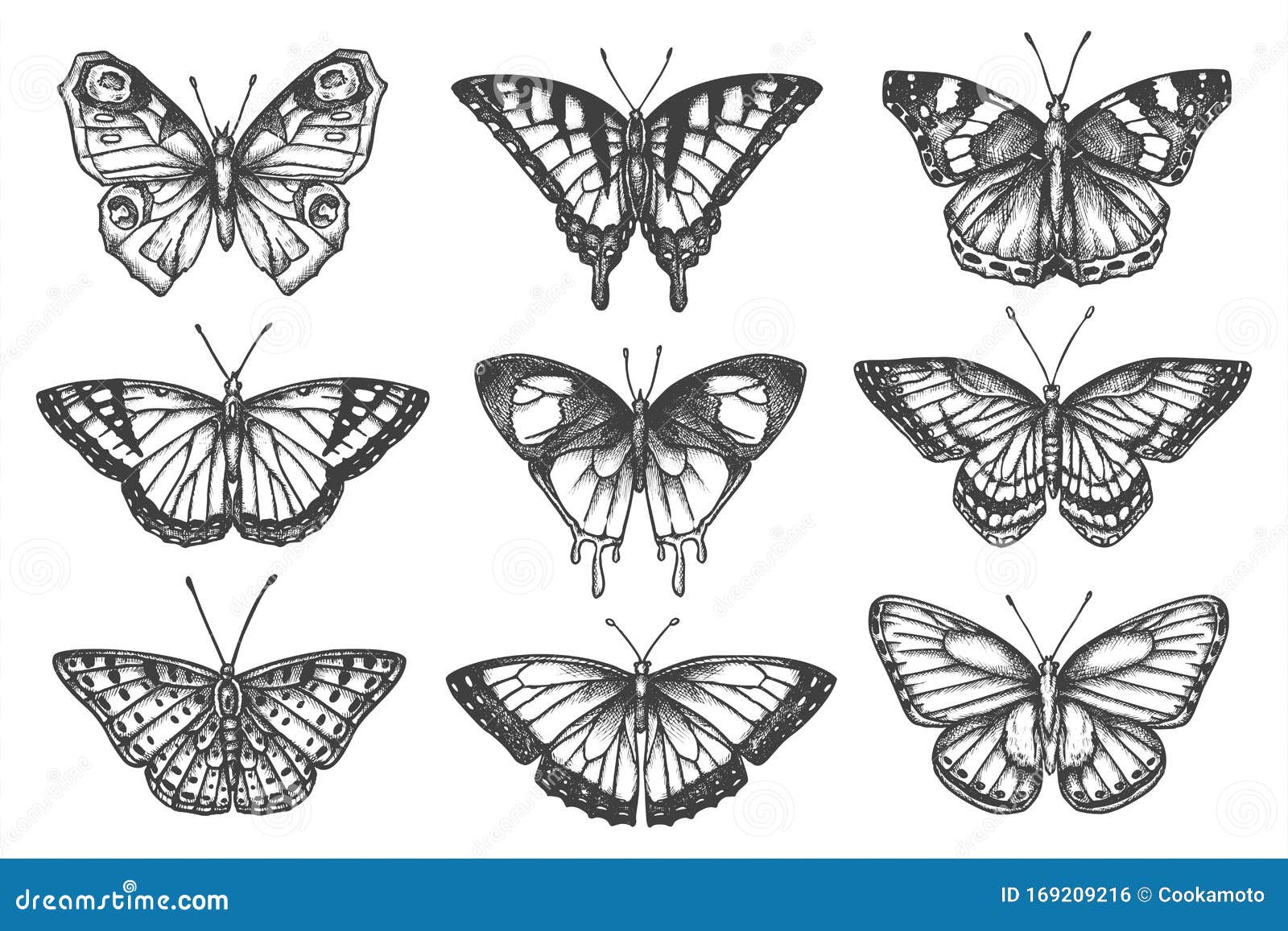 Set of Isolated Sketch of Butterfly or Moth Stock Vector - Illustration of nymphalidae, ornament: 169209216 Set of Isolated Sketch of Butterfly or Moth Stock Vector - Illustration of nymphalidae, ornament: 169209216