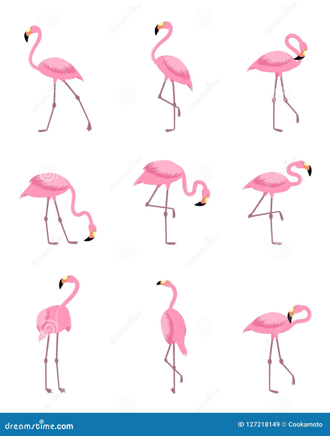 Set of Isolated Tropical Greater Flamingo Stock Vector - Illustration ...