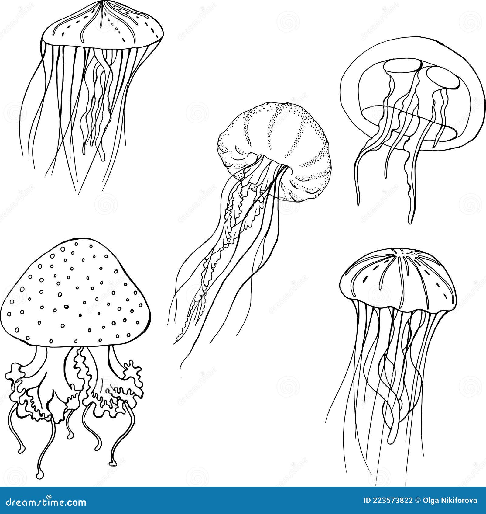 Set of Jellyfish Line, Marine Sketch Stock Vector - Illustration of ...