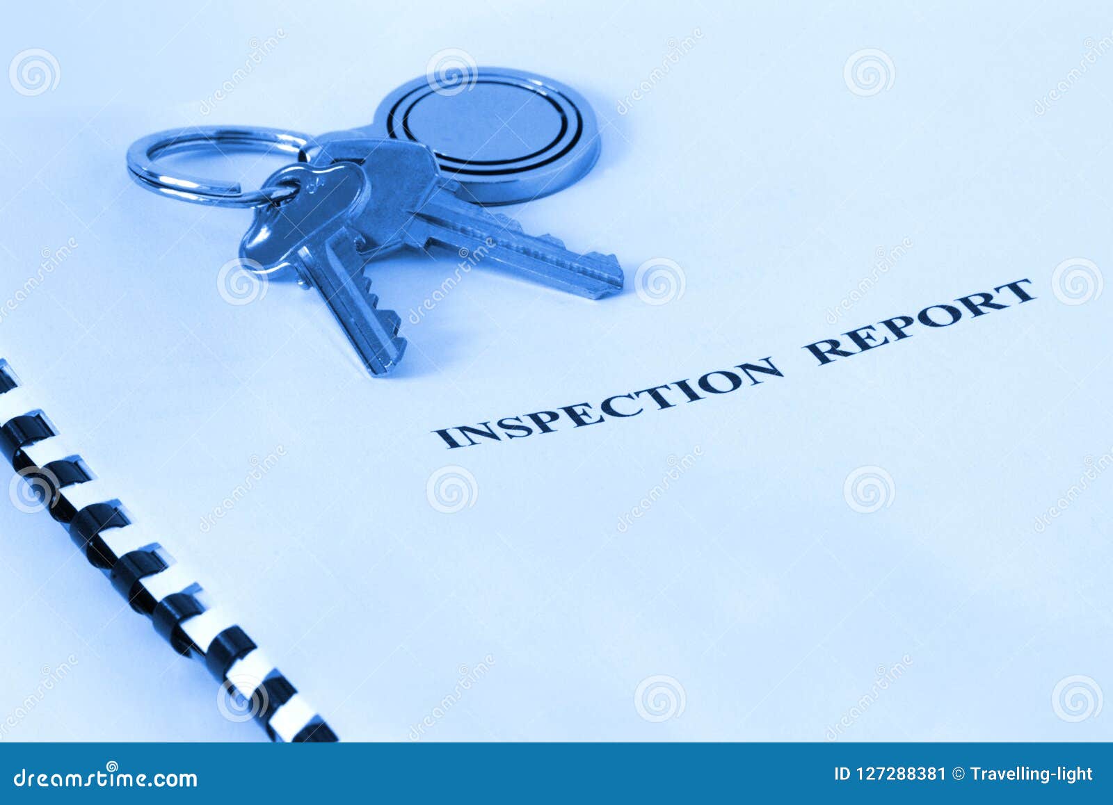 real estate - inspection report blue tone