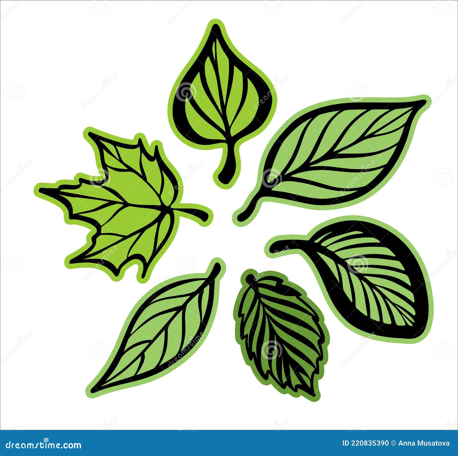 22 Circle Border Svg Stock Illustrations Vectors Clipart Dreamstime