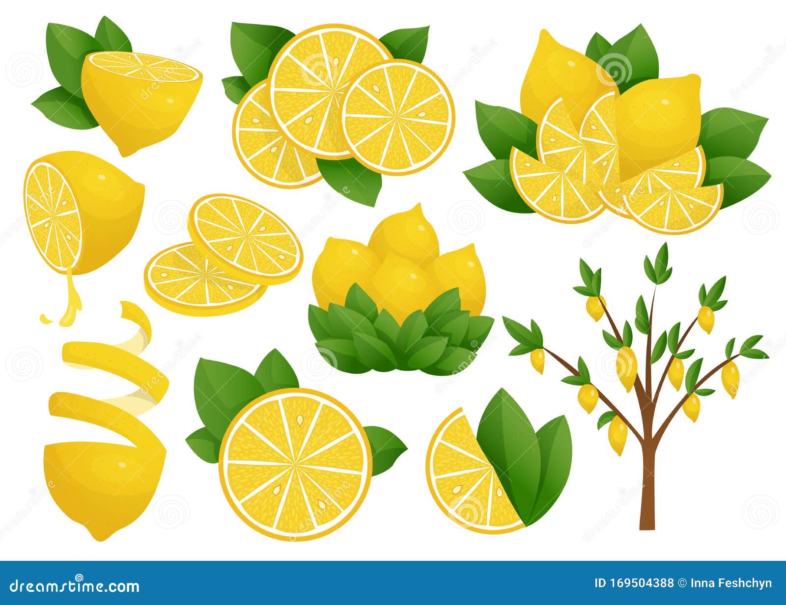 Set of Lemon Slice. Vector Illustration on White Background. Lemon Tree ...